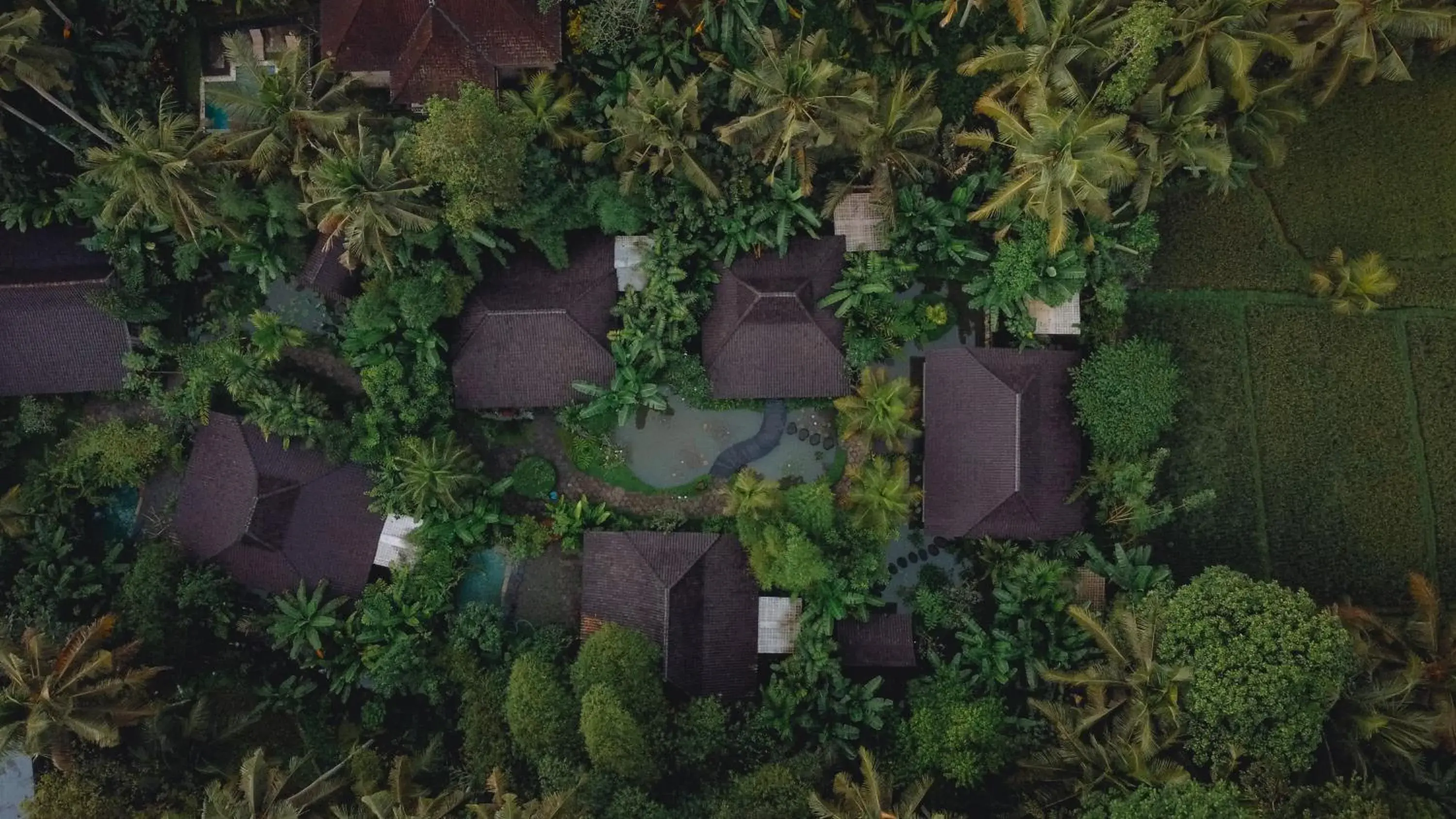 Garden view, Bird's-eye View in Korurua Dijiwa Ubud