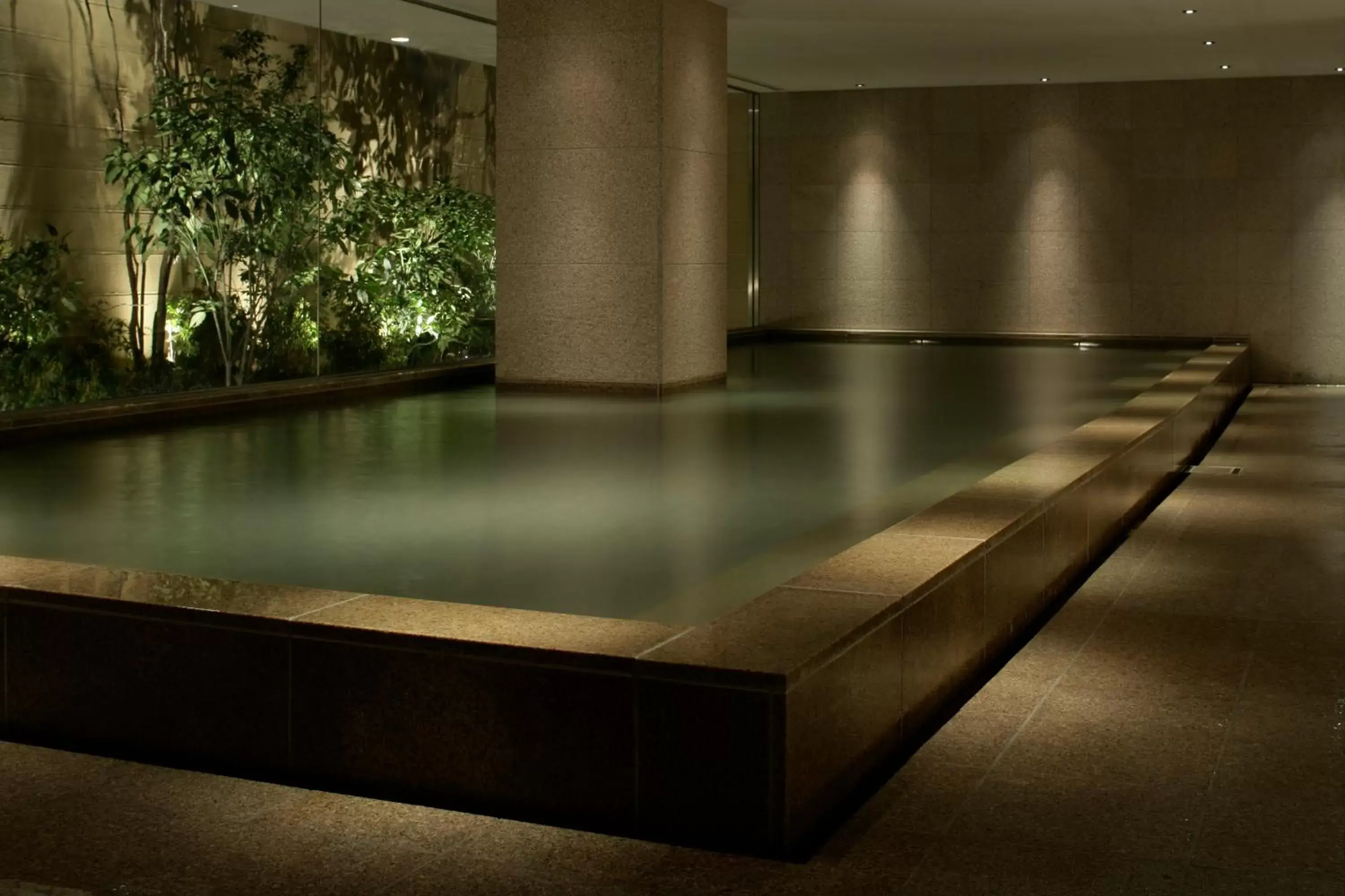 Hot Spring Bath, Swimming Pool in Hyatt Regency Hakone Resort and Spa