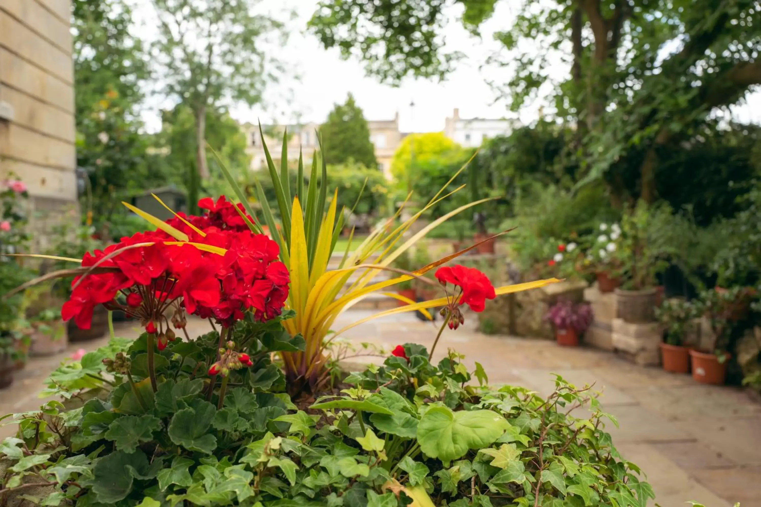 Garden in Grosvenor Villa