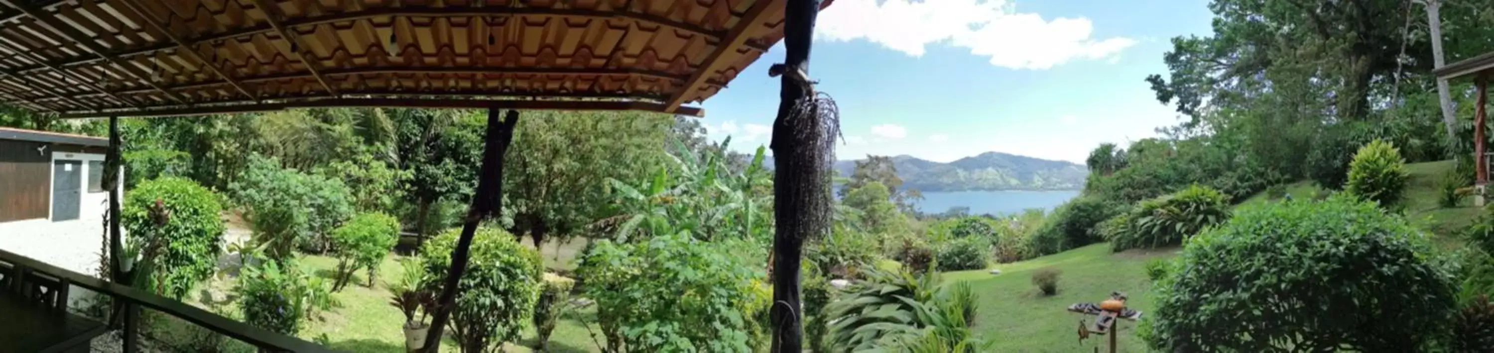 Garden view in La Ceiba Tree Lodge