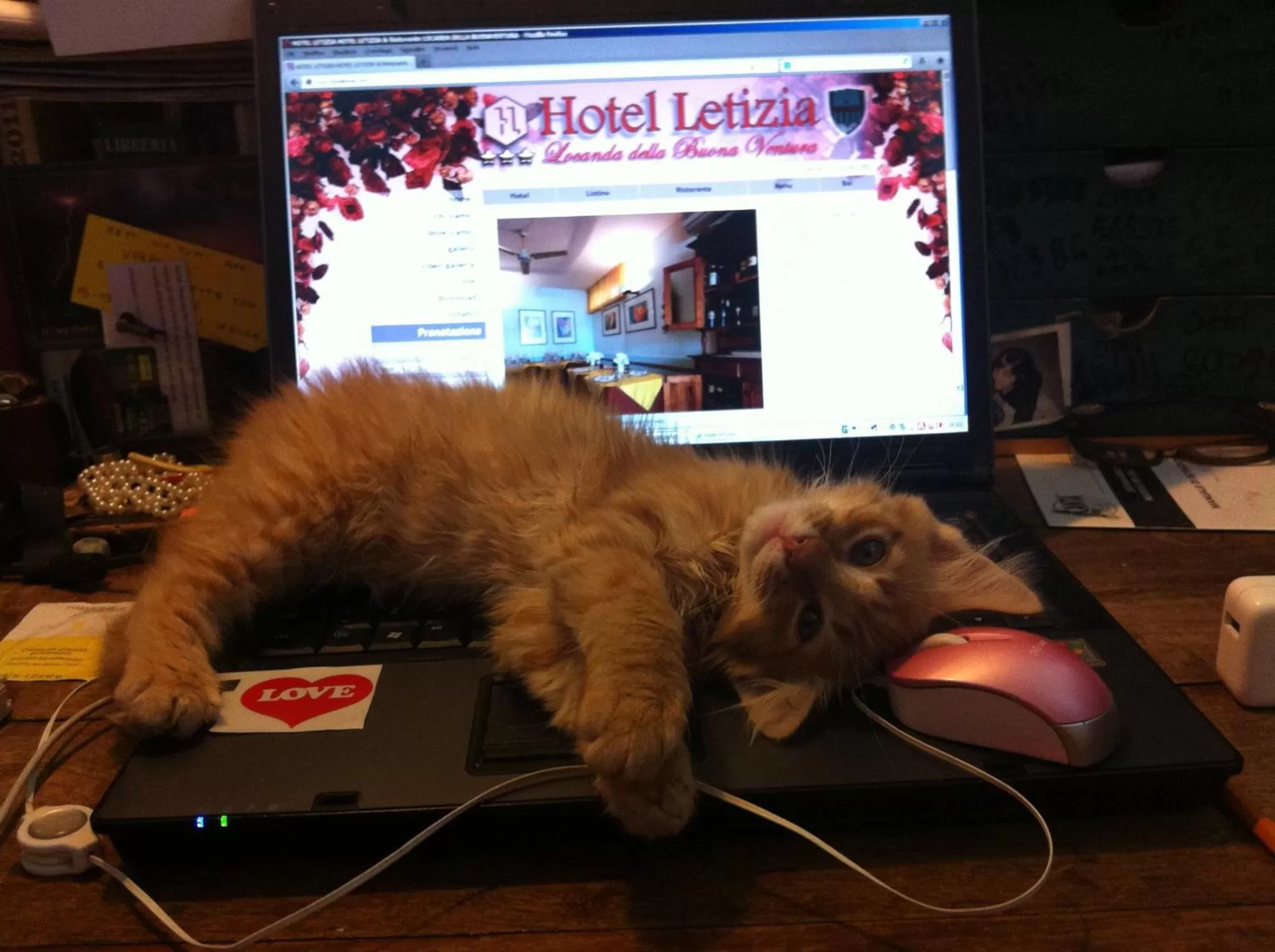 Pets in Hotel Letizia