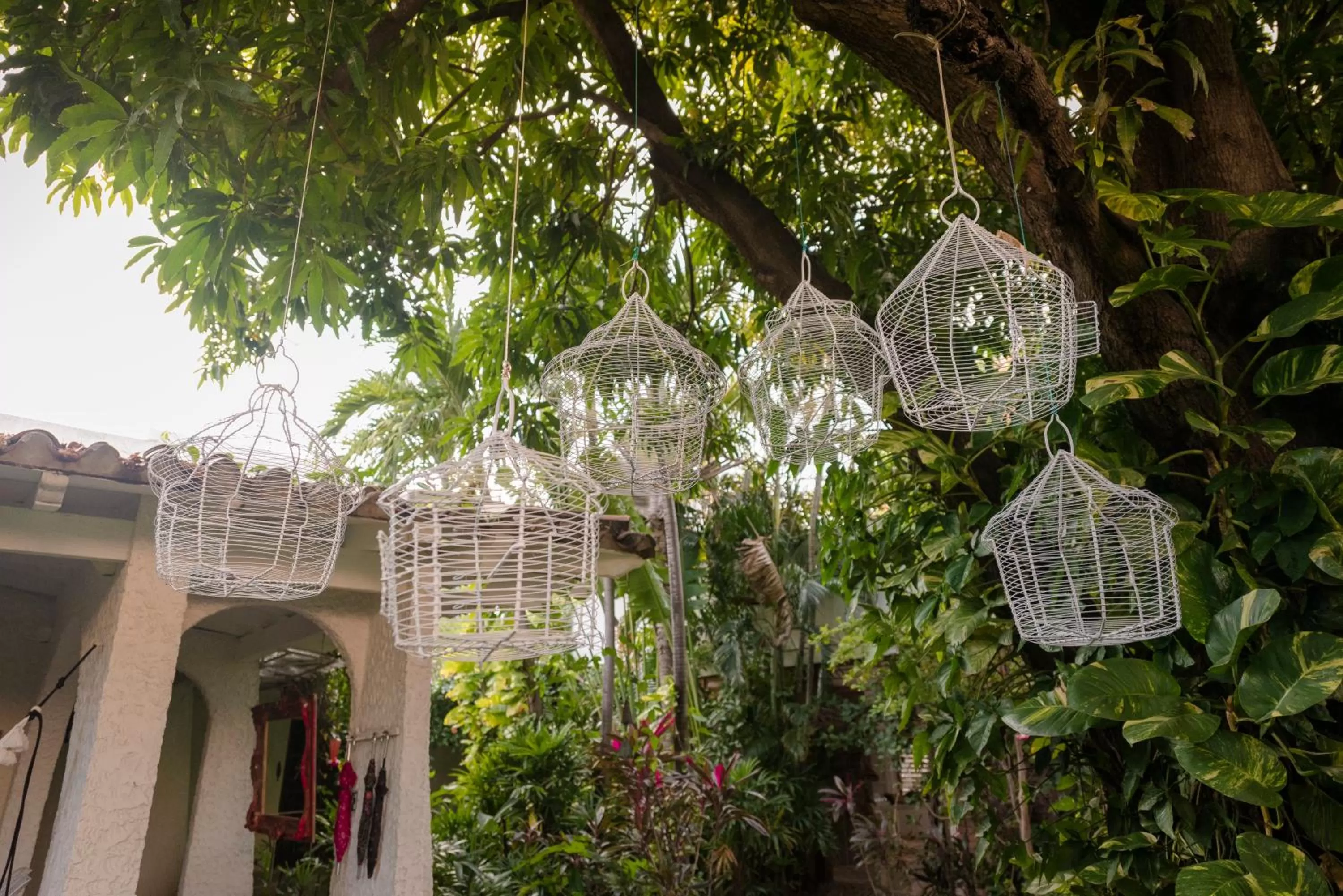 Garden in Hotel Boutique Casa Rosalía