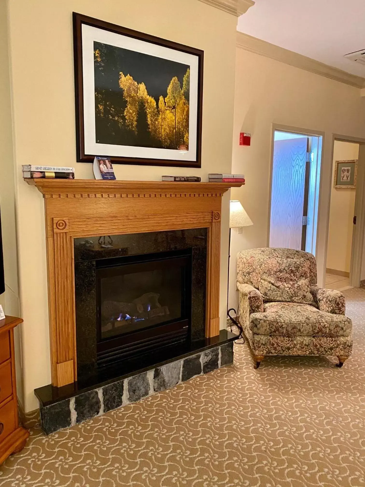 Living room, TV/Entertainment Center in Best Western Plus Waterbury - Stowe