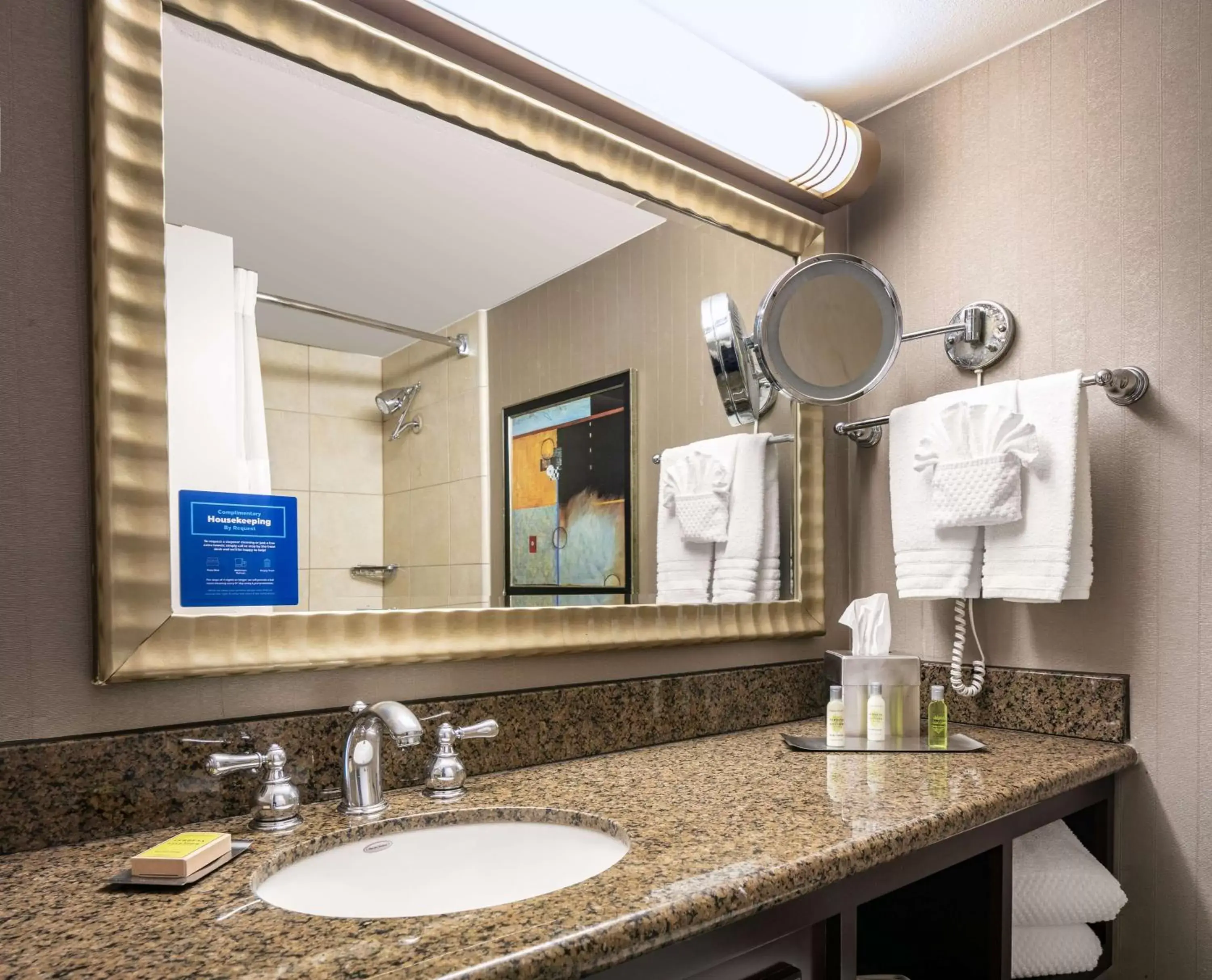 Bathroom in DoubleTree by Hilton Dallas Market Center