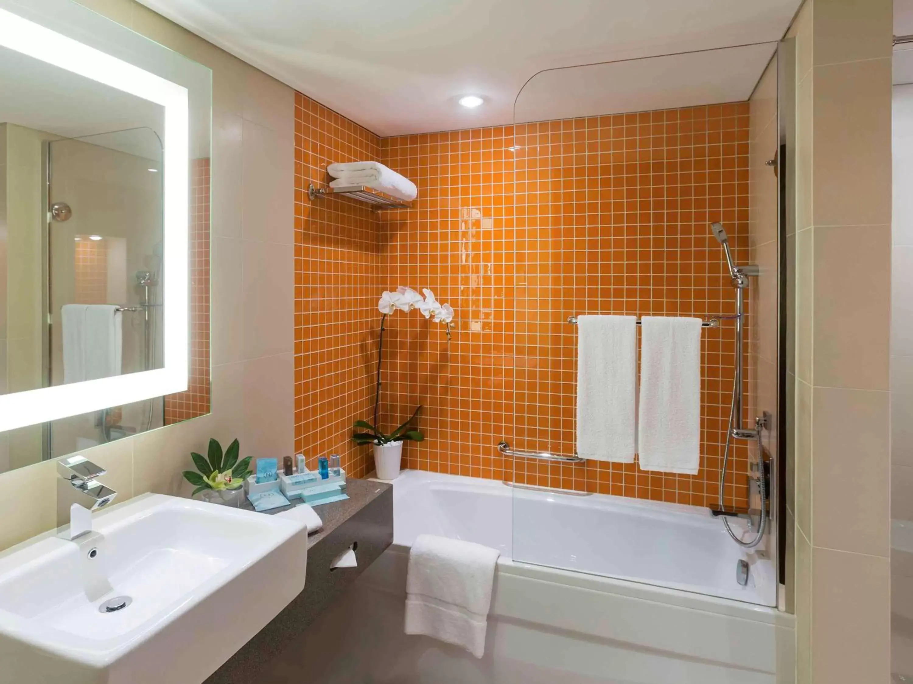 Photo of the whole room, Bathroom in Novotel Dubai Al Barsha