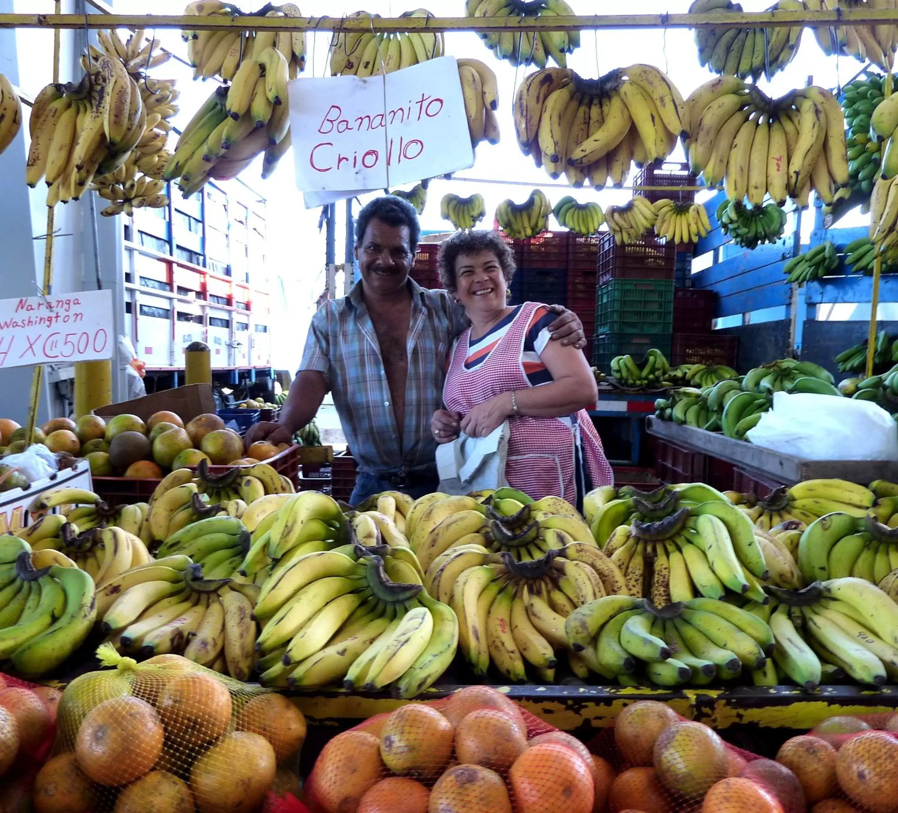 Activities in Pura Vida Hotel