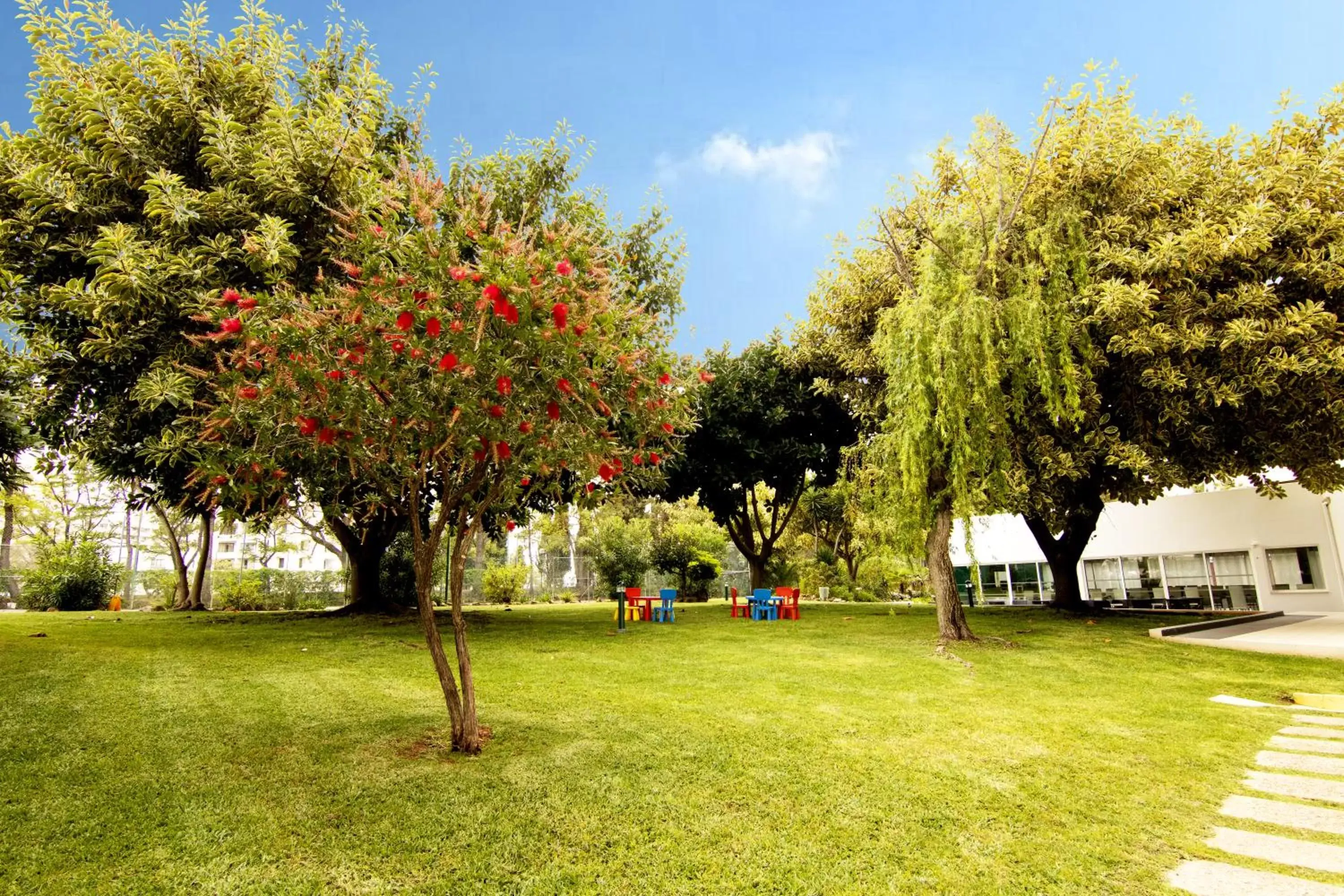 Children play ground, Garden in Luna Olympus