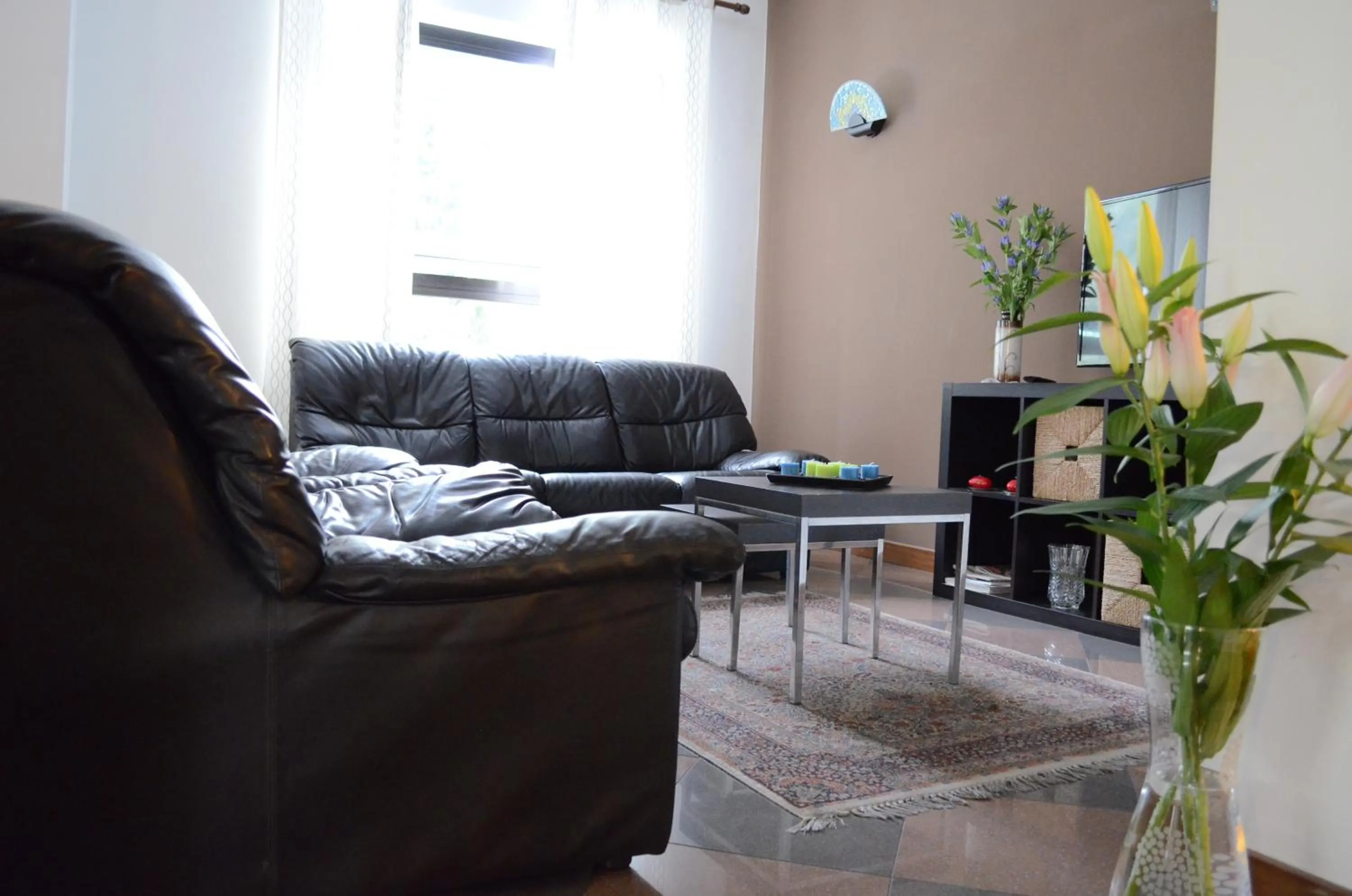 Communal lounge/ TV room in Hotel Adria