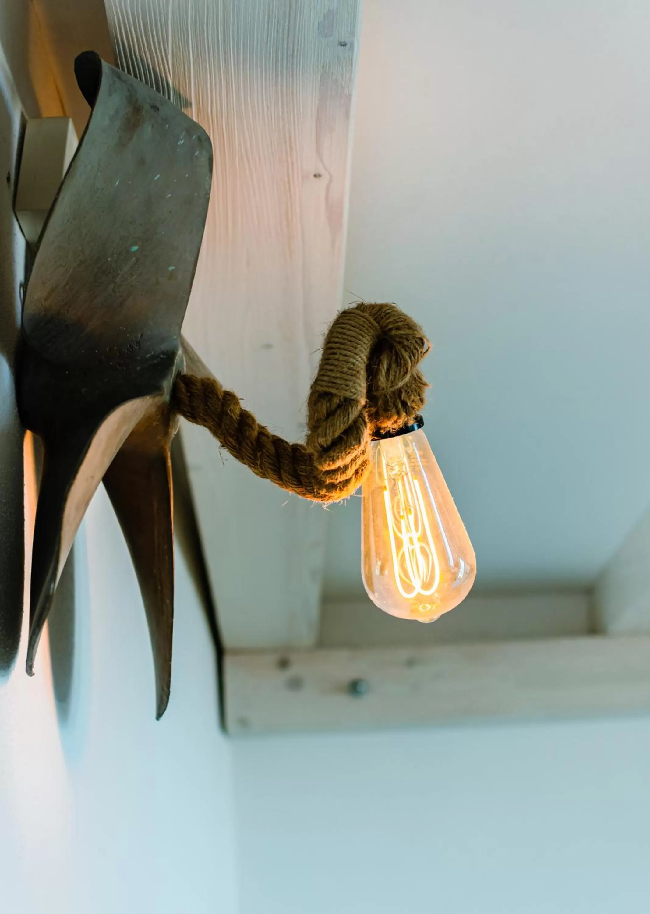 Other Animals in Dimora Cavour