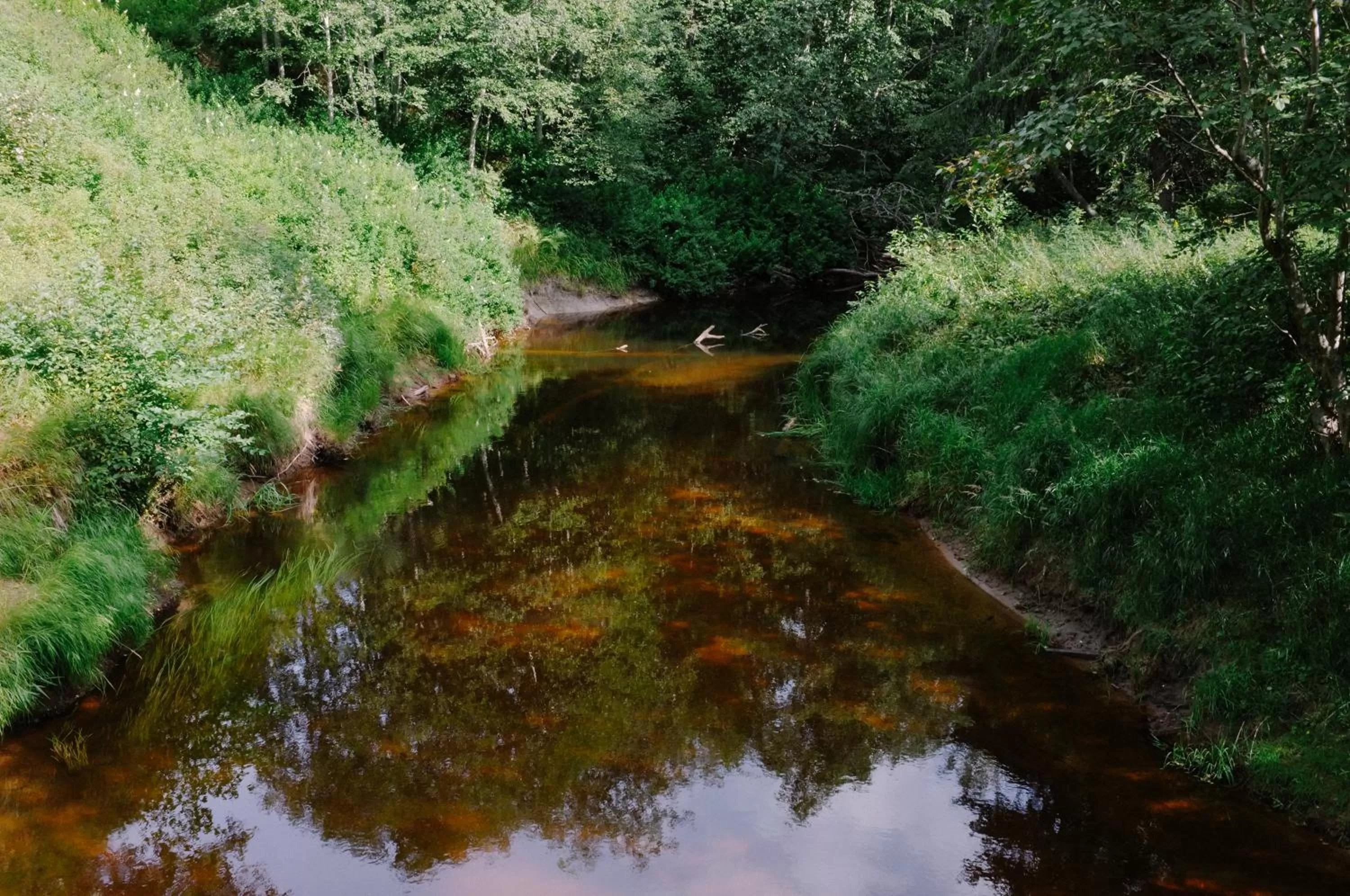 Natural landscape in Baggå Skola BnB & Café