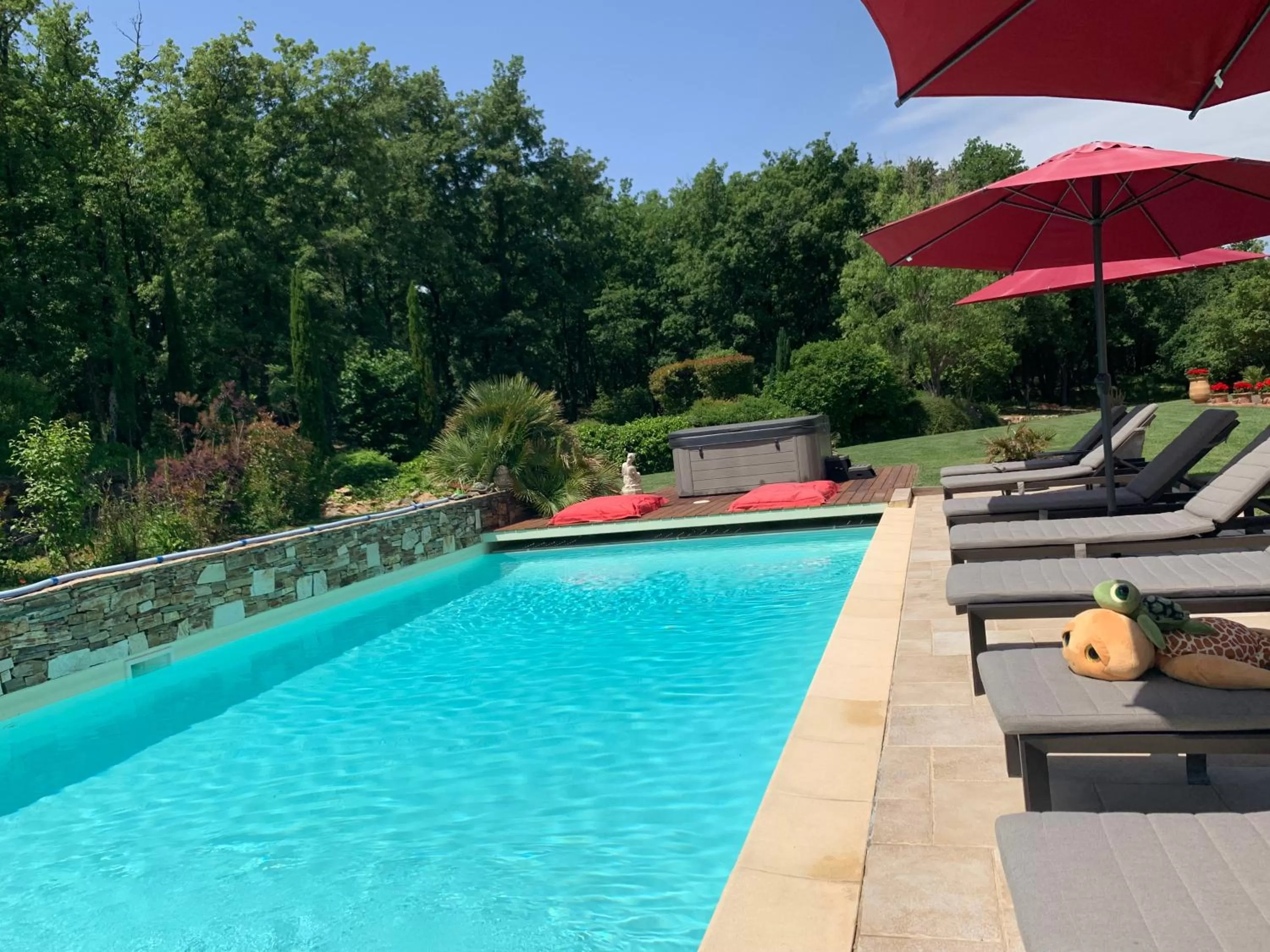 Pool view in La Dryade