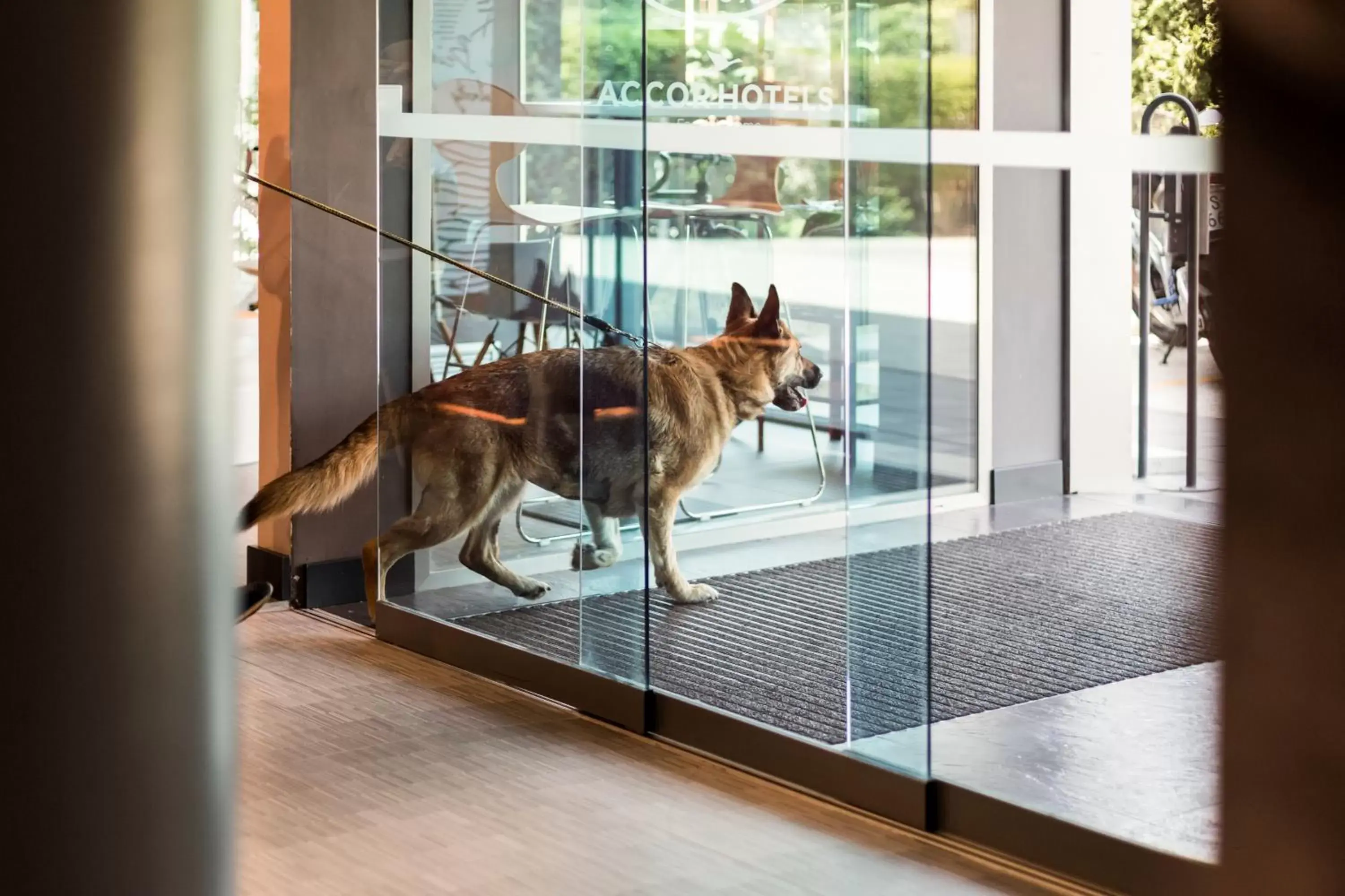 Lobby or reception, Pets in Ibis Montmelo Granollers