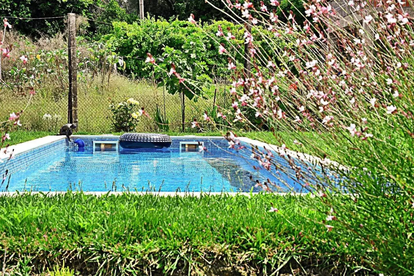 Swimming Pool in B&B Villa Branca Barreiros AL98139