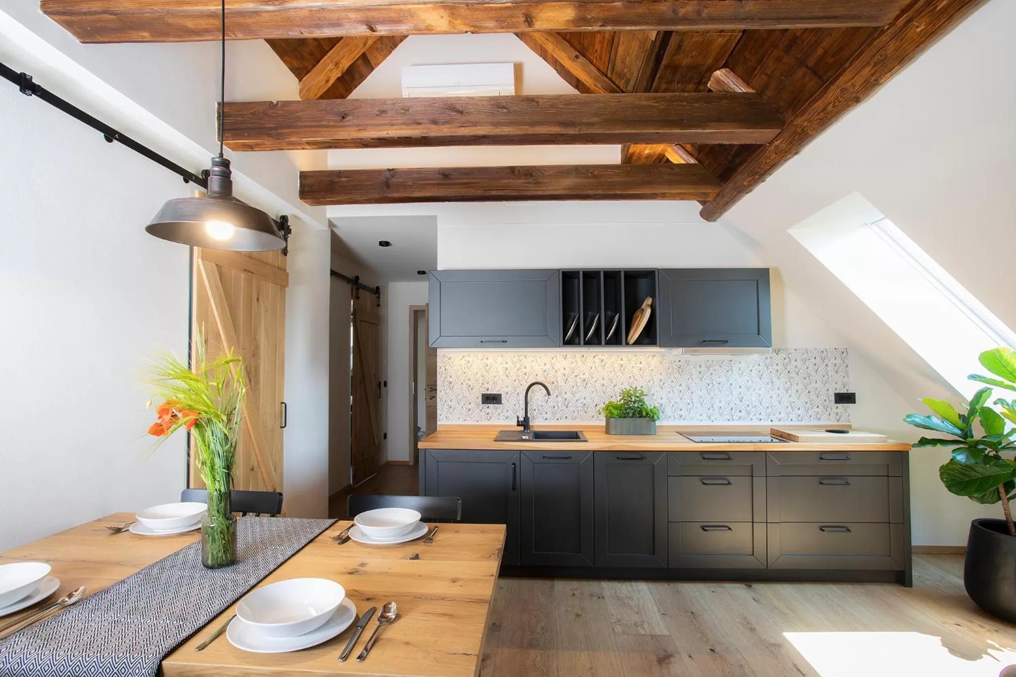 Kitchen or kitchenette in House Troha - Rooms & Apartments