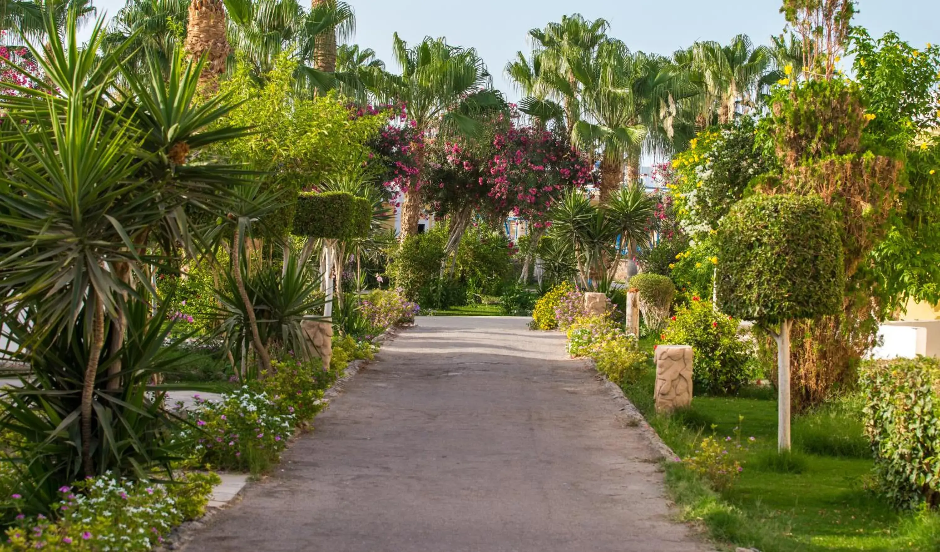 Garden in Mirage Bay Resort & Aqua Park