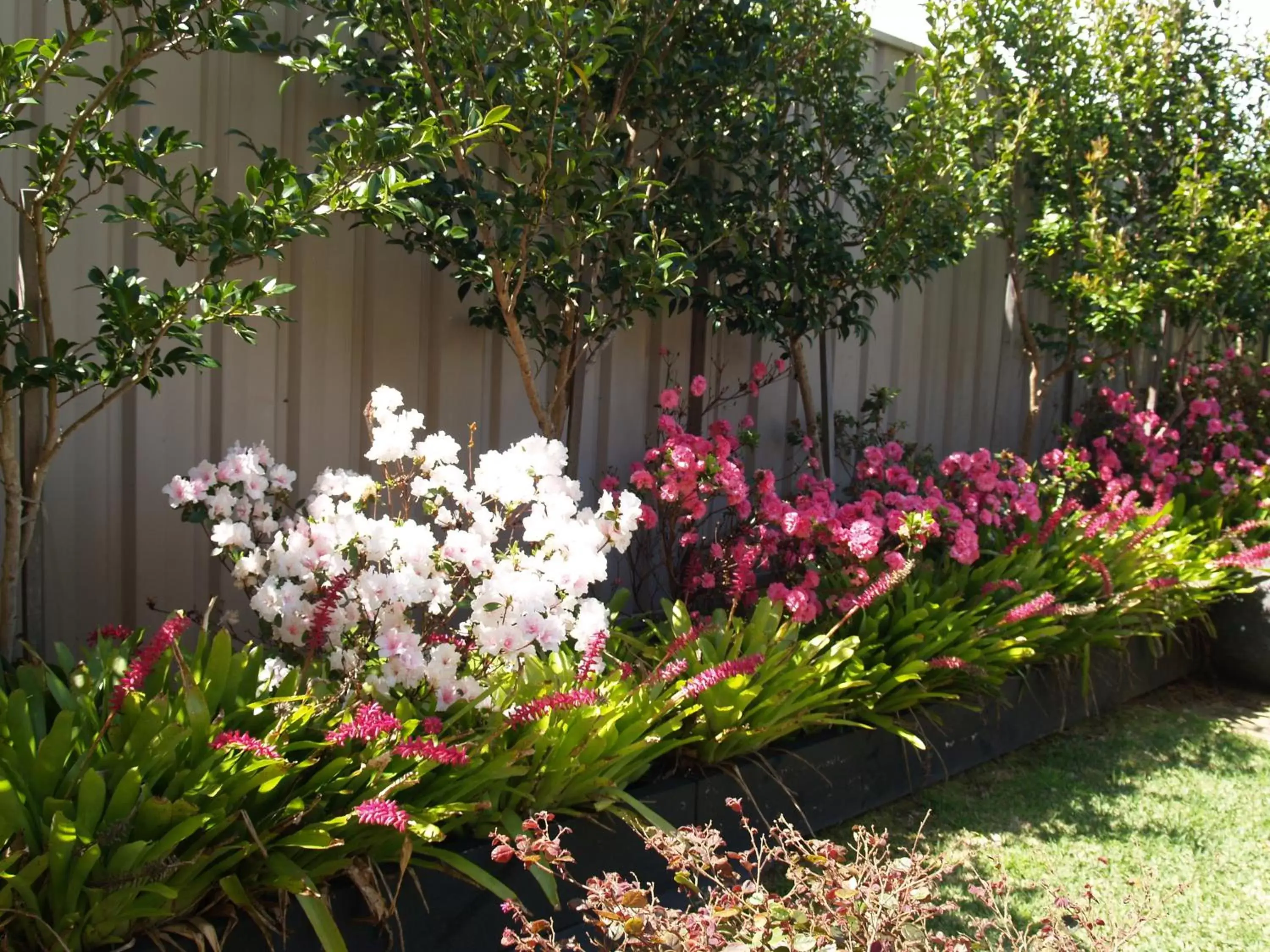 Area and facilities, Garden in Pigeon House Motor Inn