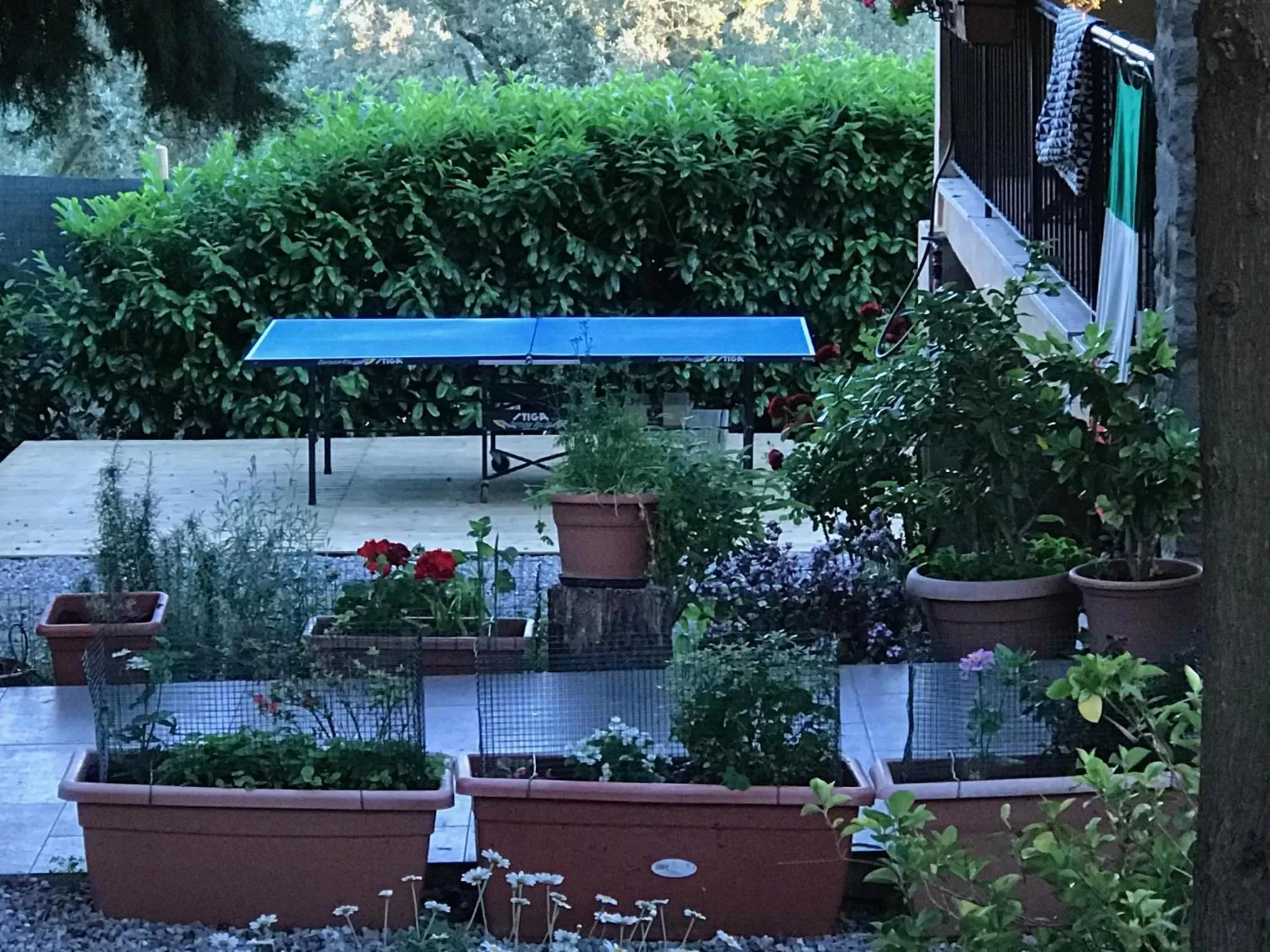 Table tennis in B&B Sei Cipressi