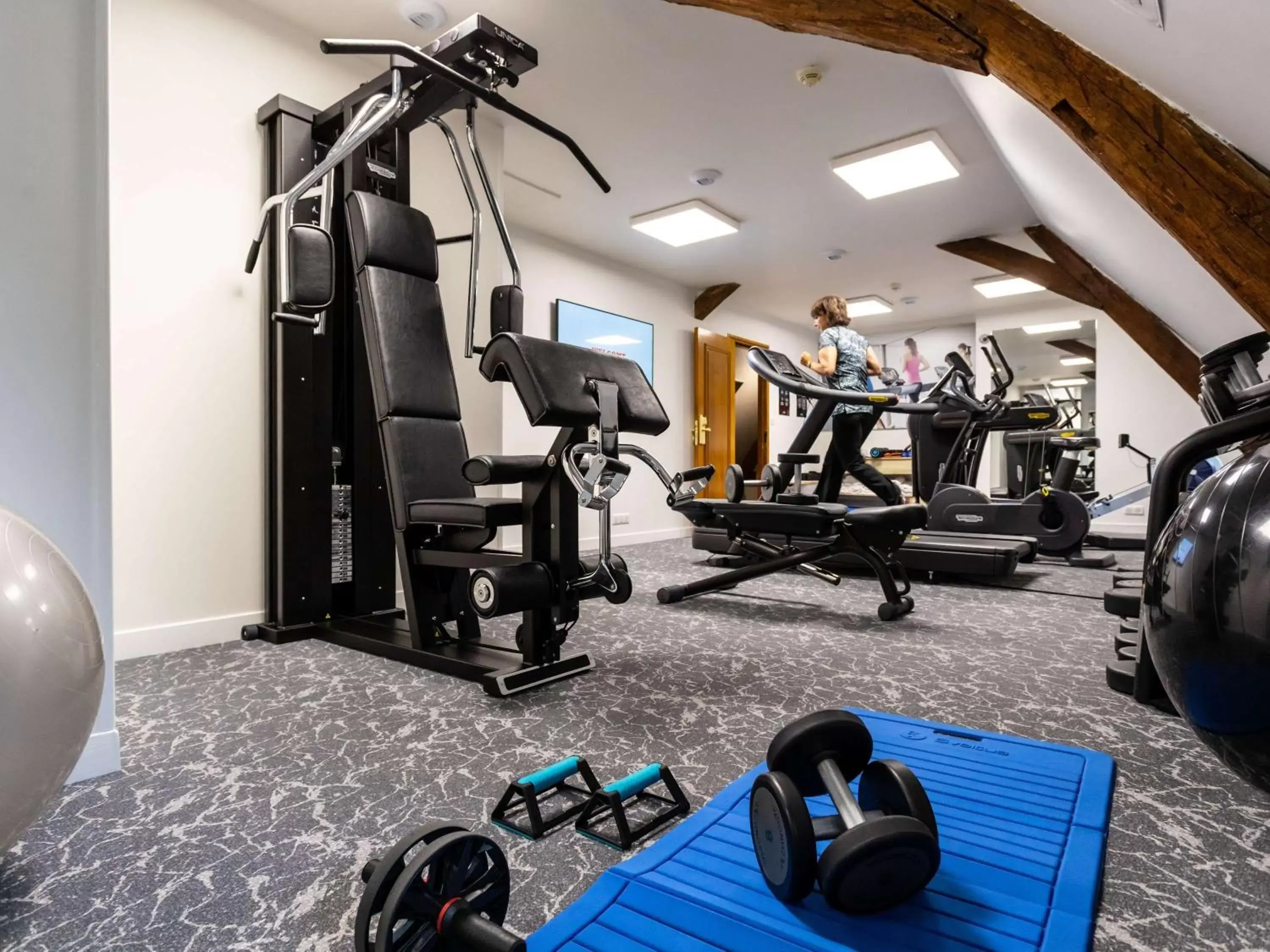 Fitness centre/facilities, Fitness Center/Facilities in Hotel De Bourbon Grand Hotel Mercure Bourges