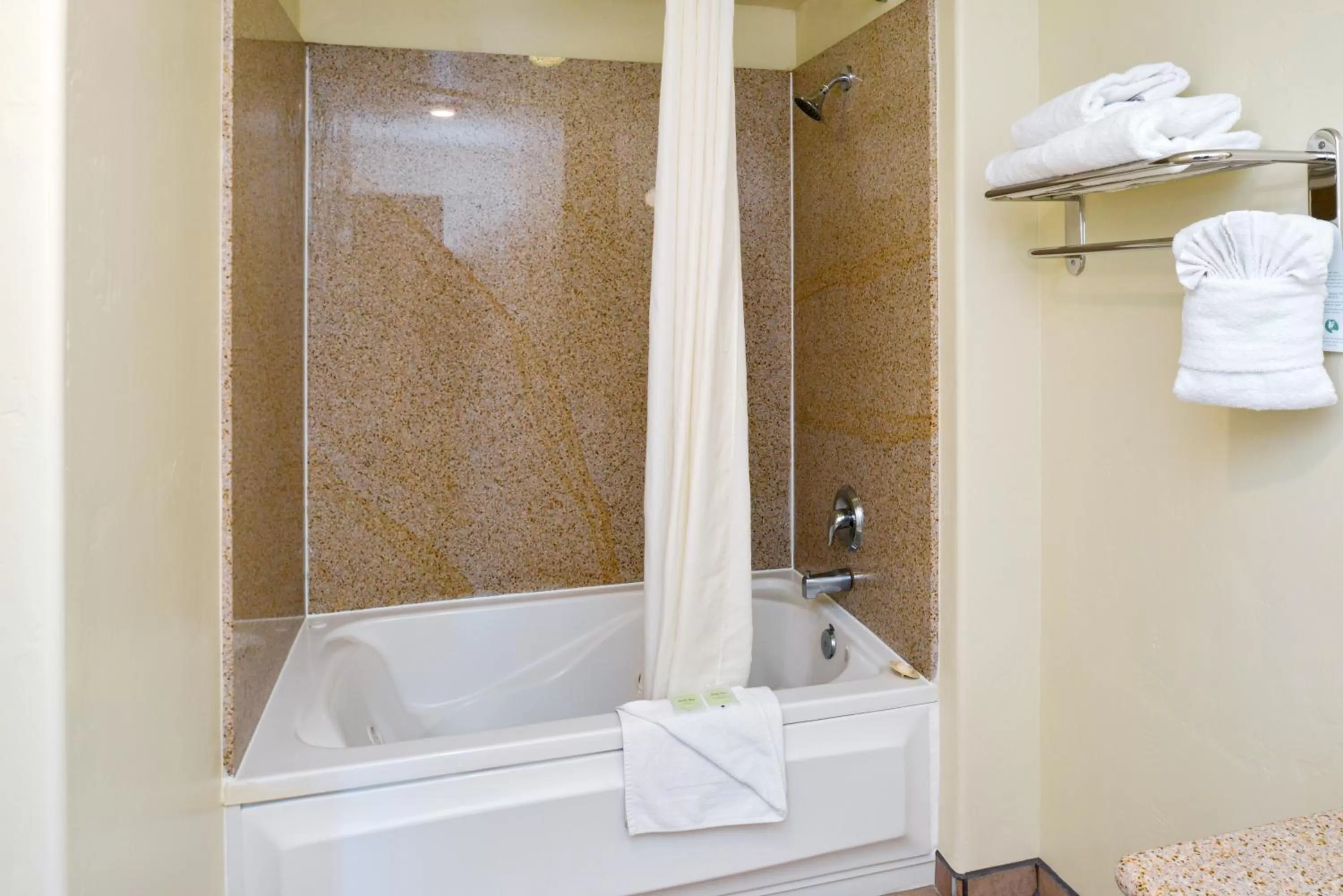 Shower in Edgewater Inn and Suites