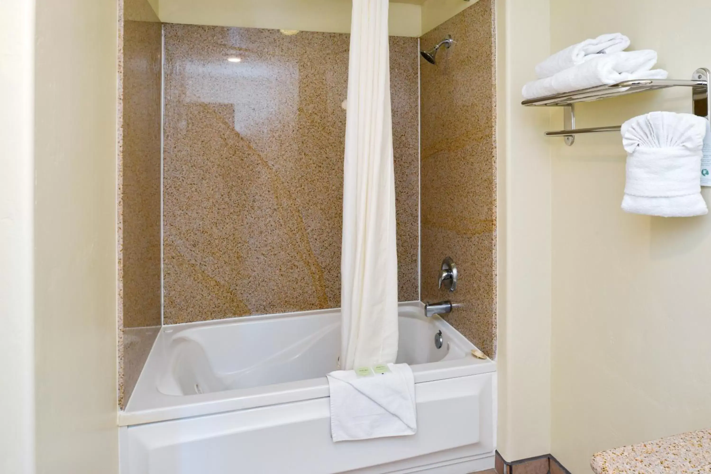 Shower, Bathroom in Edgewater Inn and Suites