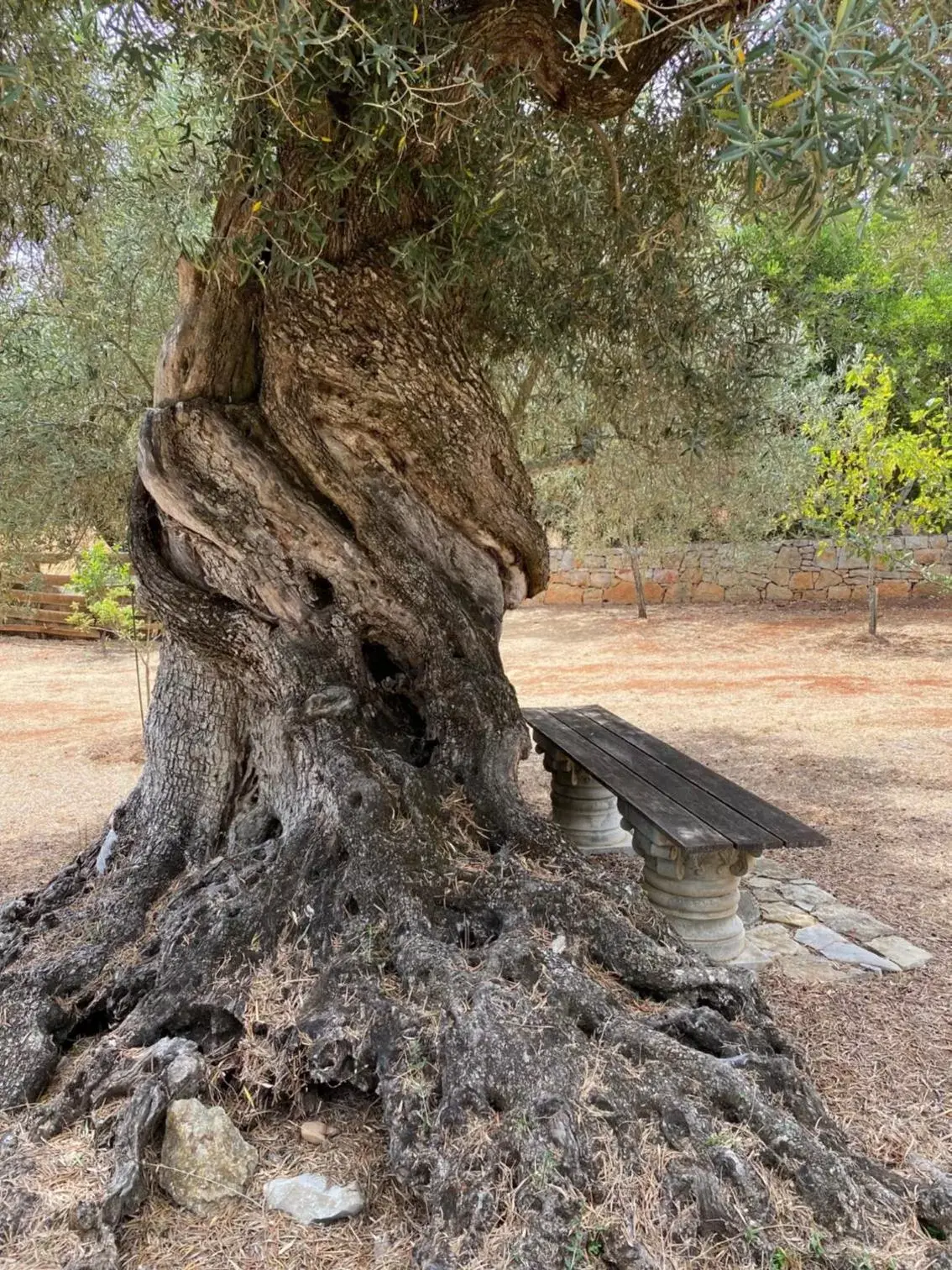 Natural landscape in Adamah Vayu -Casa Serenida