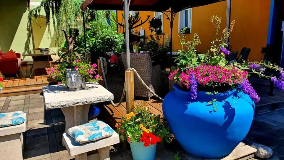 Garden in Hostel Sonce