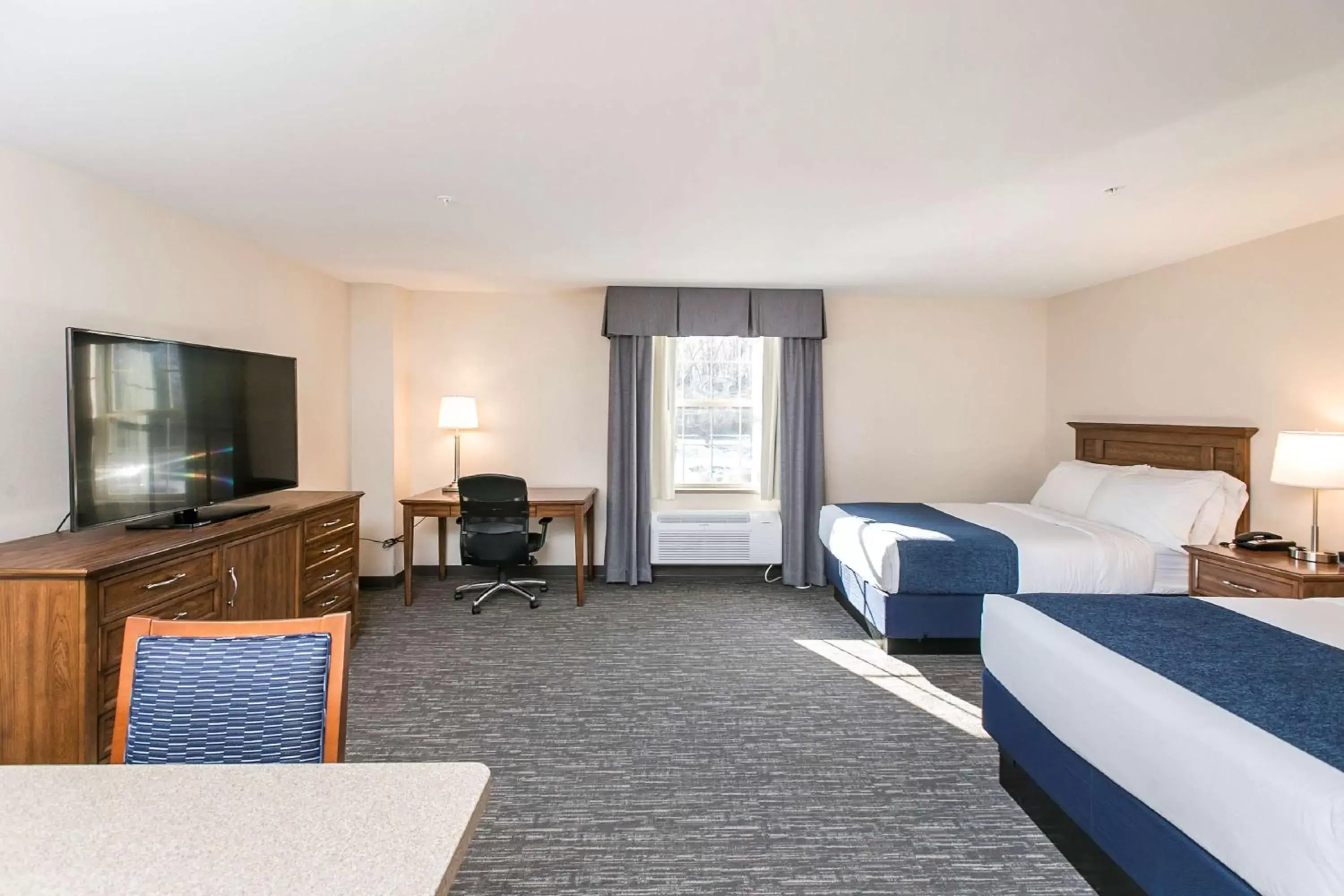 Photo of the whole room in SureStay Plus Hotel by Best Western Elizabethtown Hershey