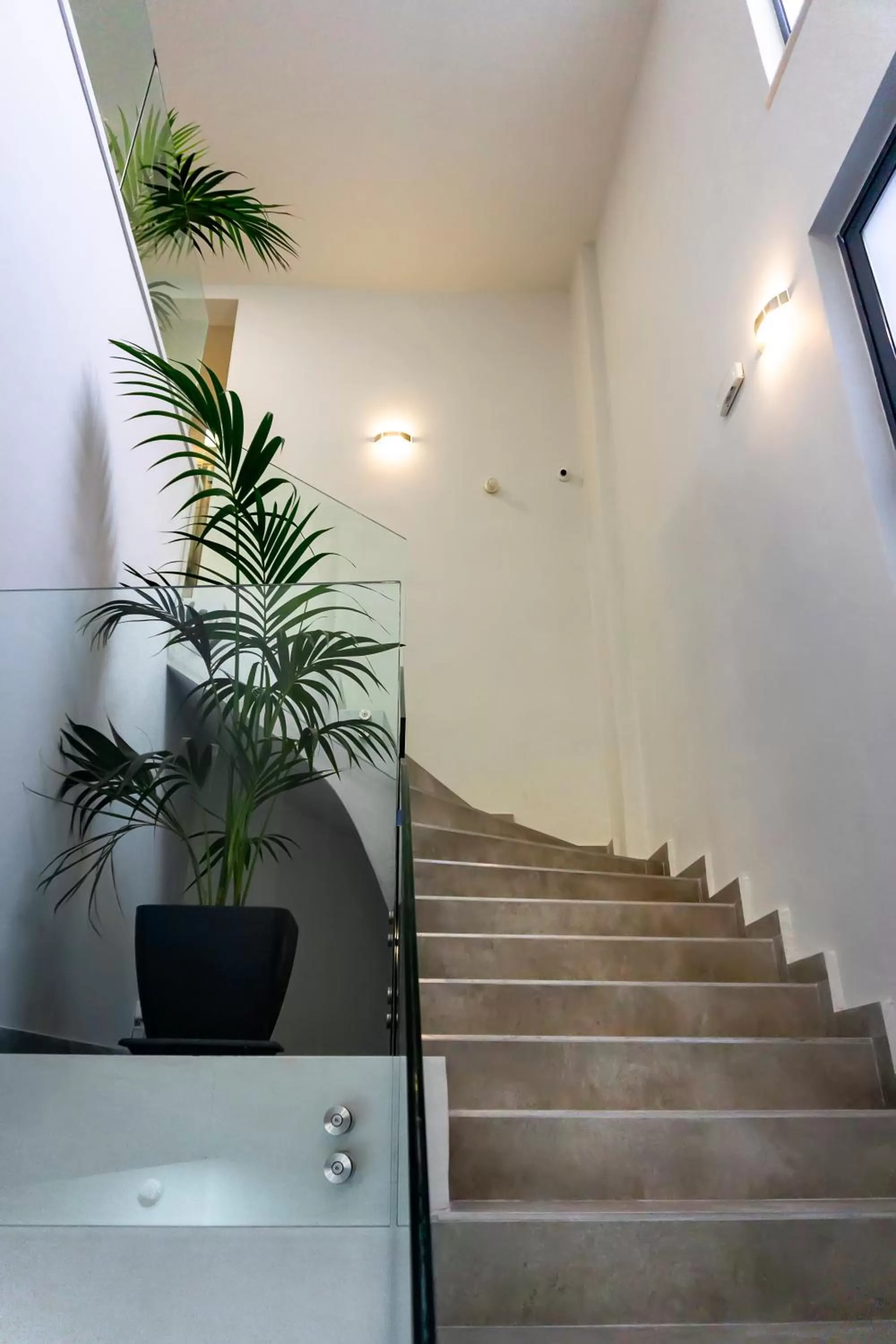 Facade/entrance in Pallada Athens boutique rooms & apartments