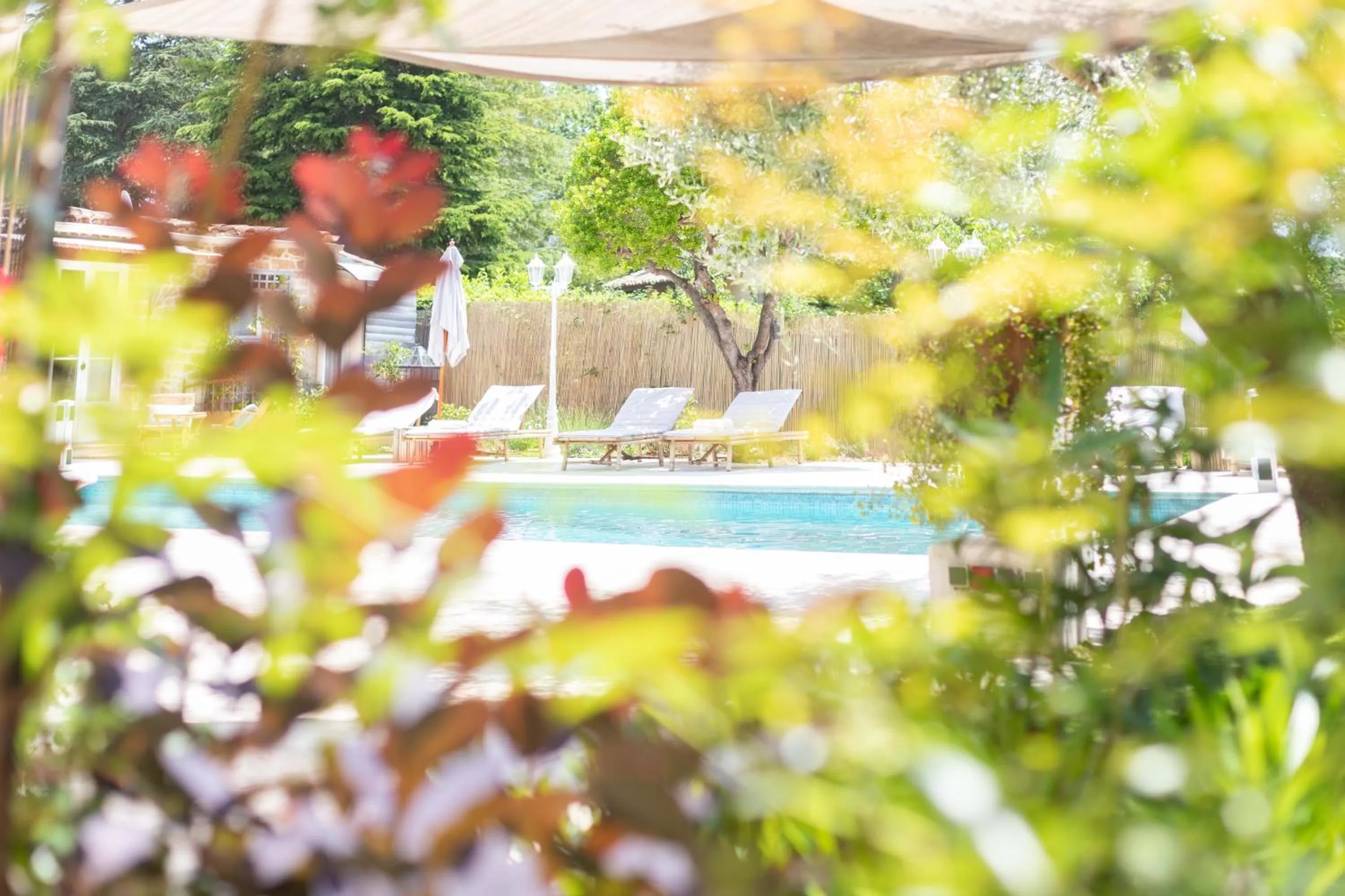Patio, Swimming Pool in La Bastide du Mûrier