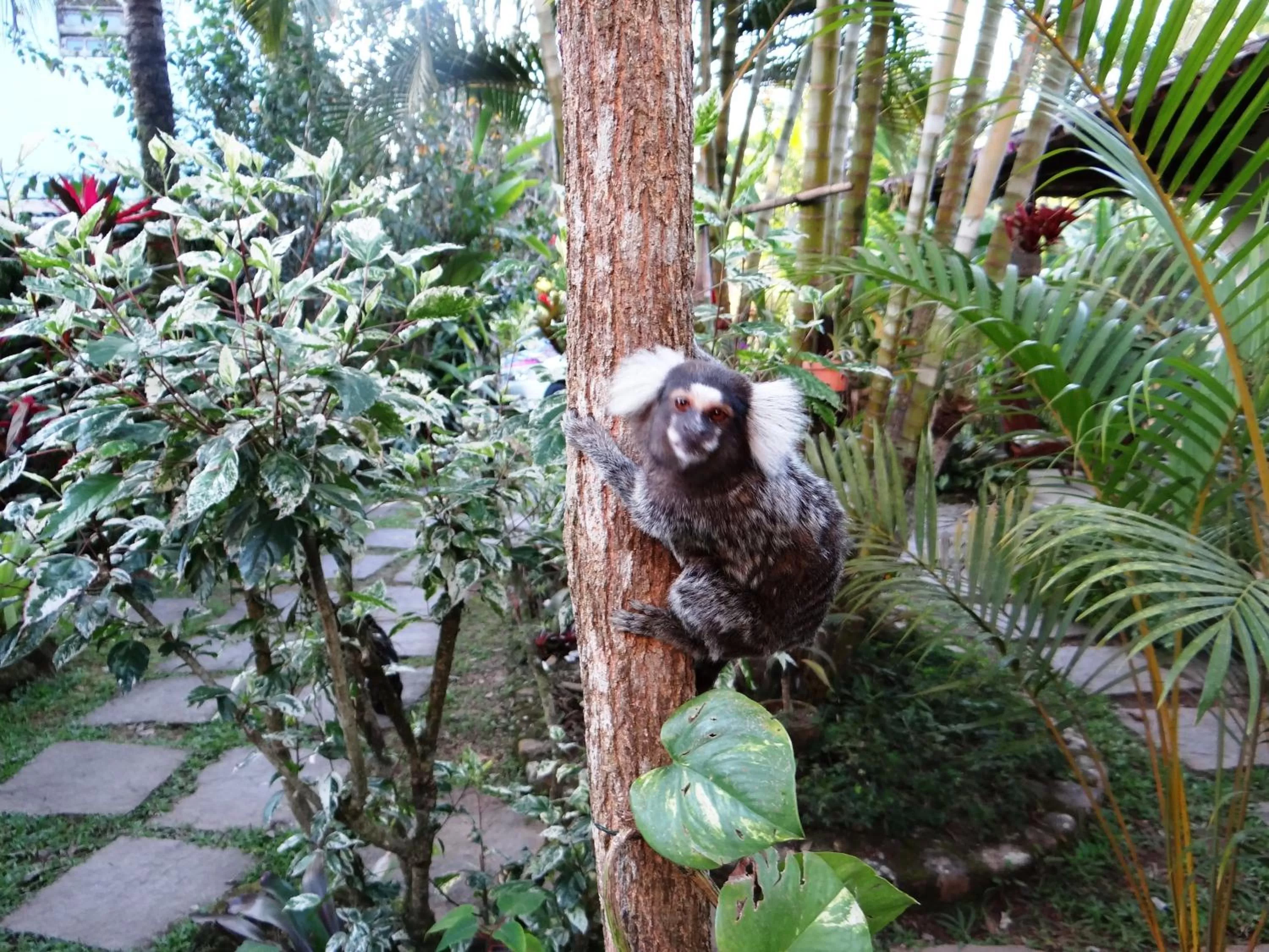 Day in Eliconial Paraty Pousada