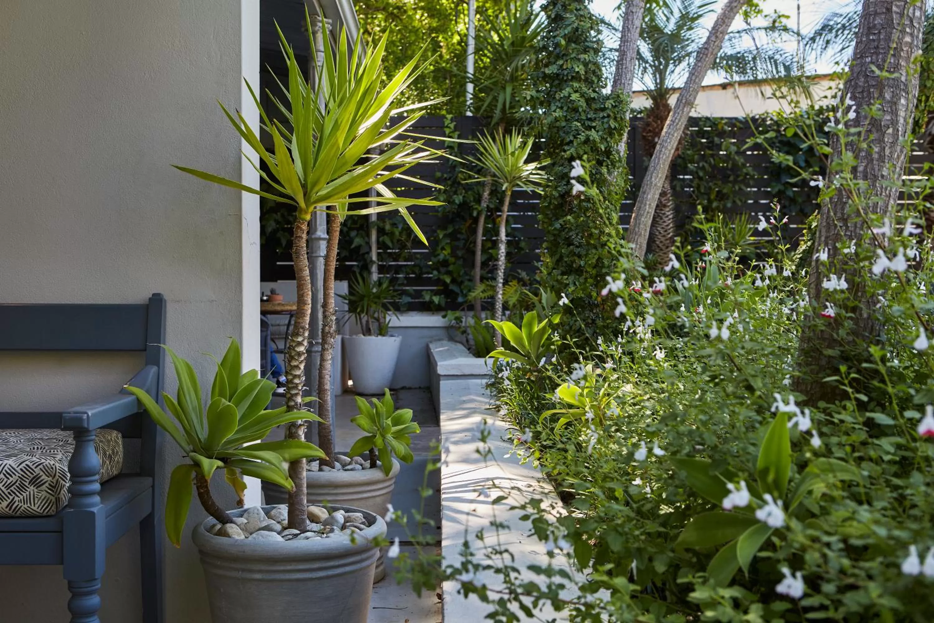 Garden in The Robertson Small Hotel and Spa by The Living Journey Collection