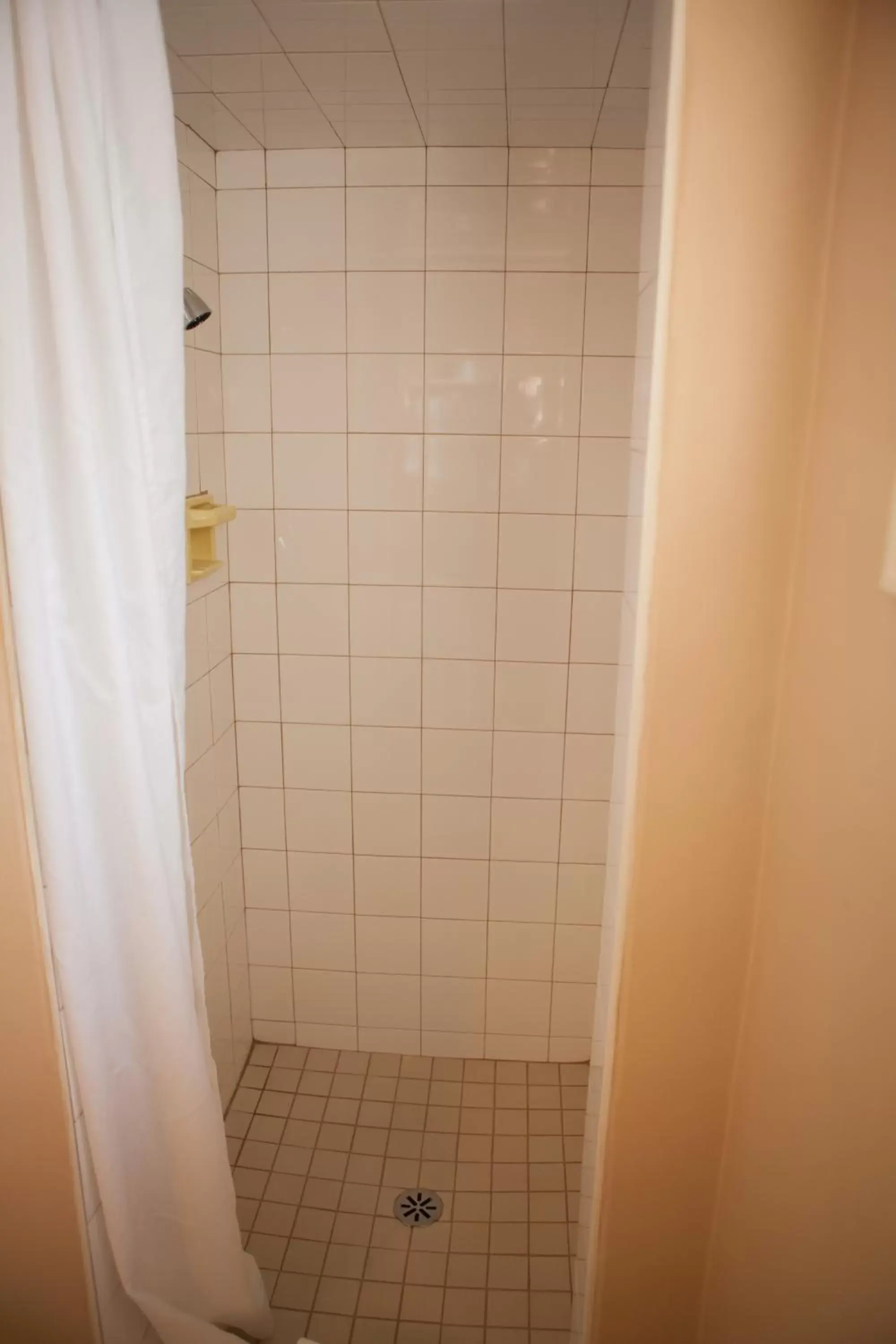 Bathroom in Revelstoke Lodge