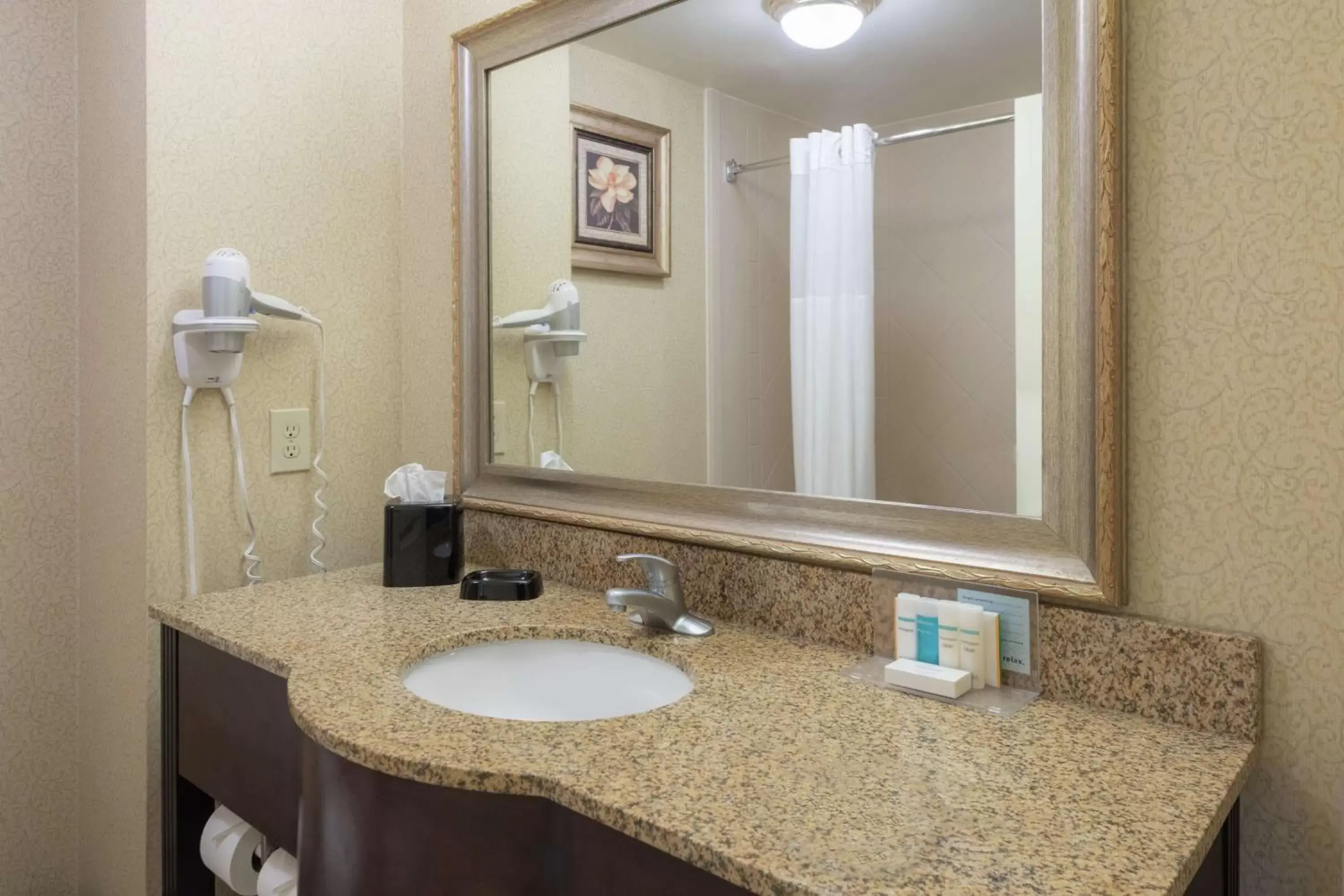 Bathroom in Hampton Inn & Suites - Vicksburg