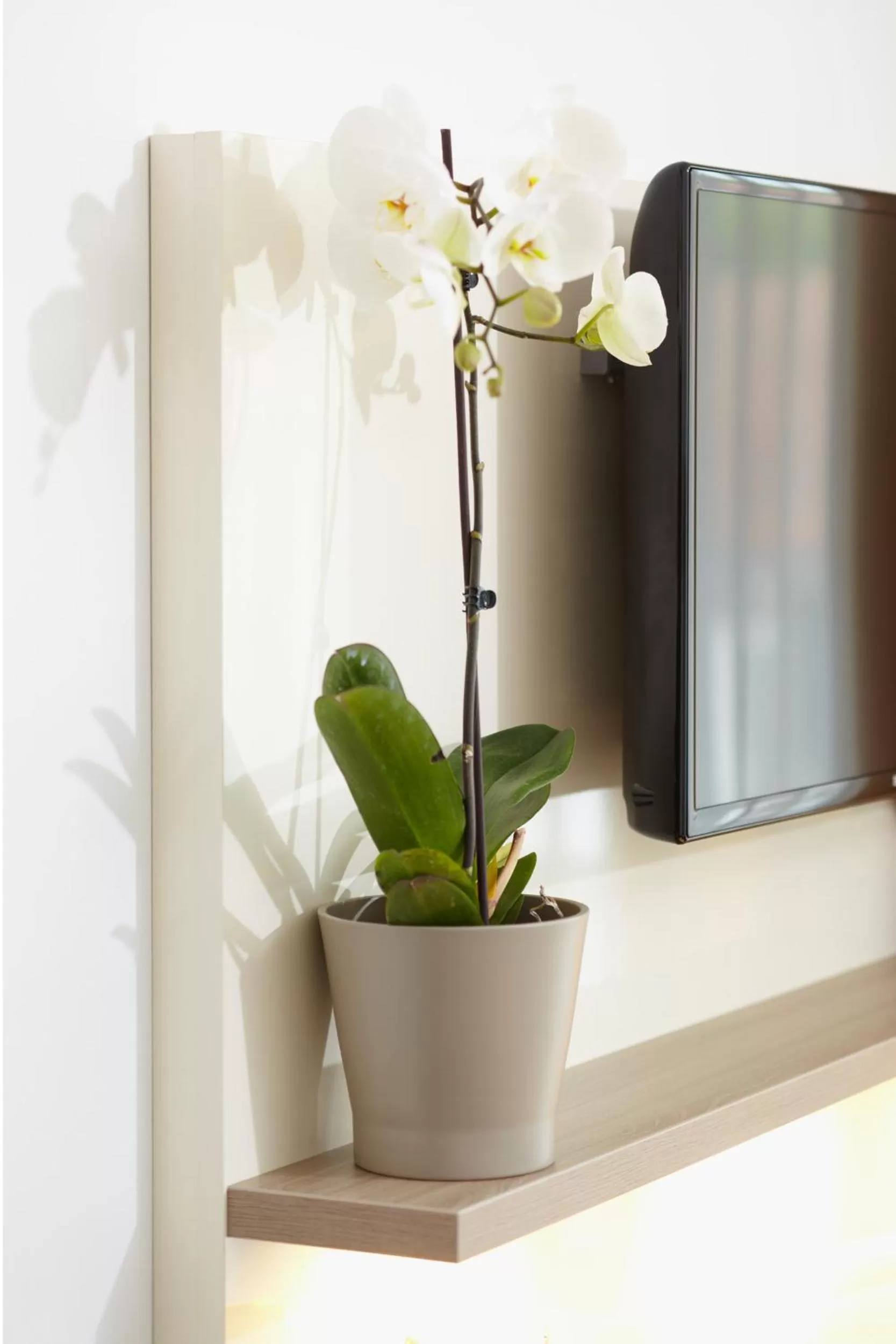 TV and multimedia in Hotel zum Hirsch