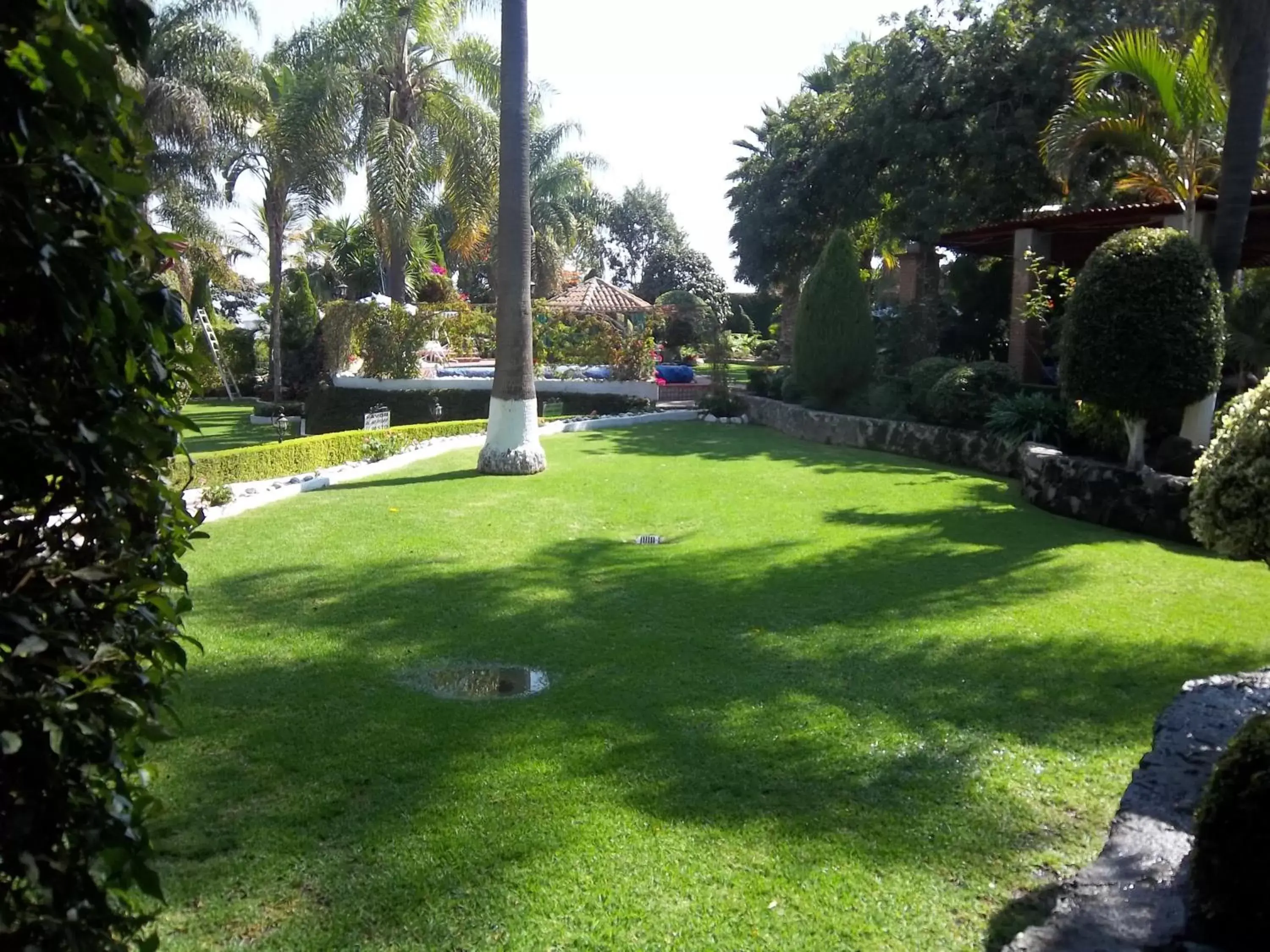 Garden in Posada Los Alcatraces