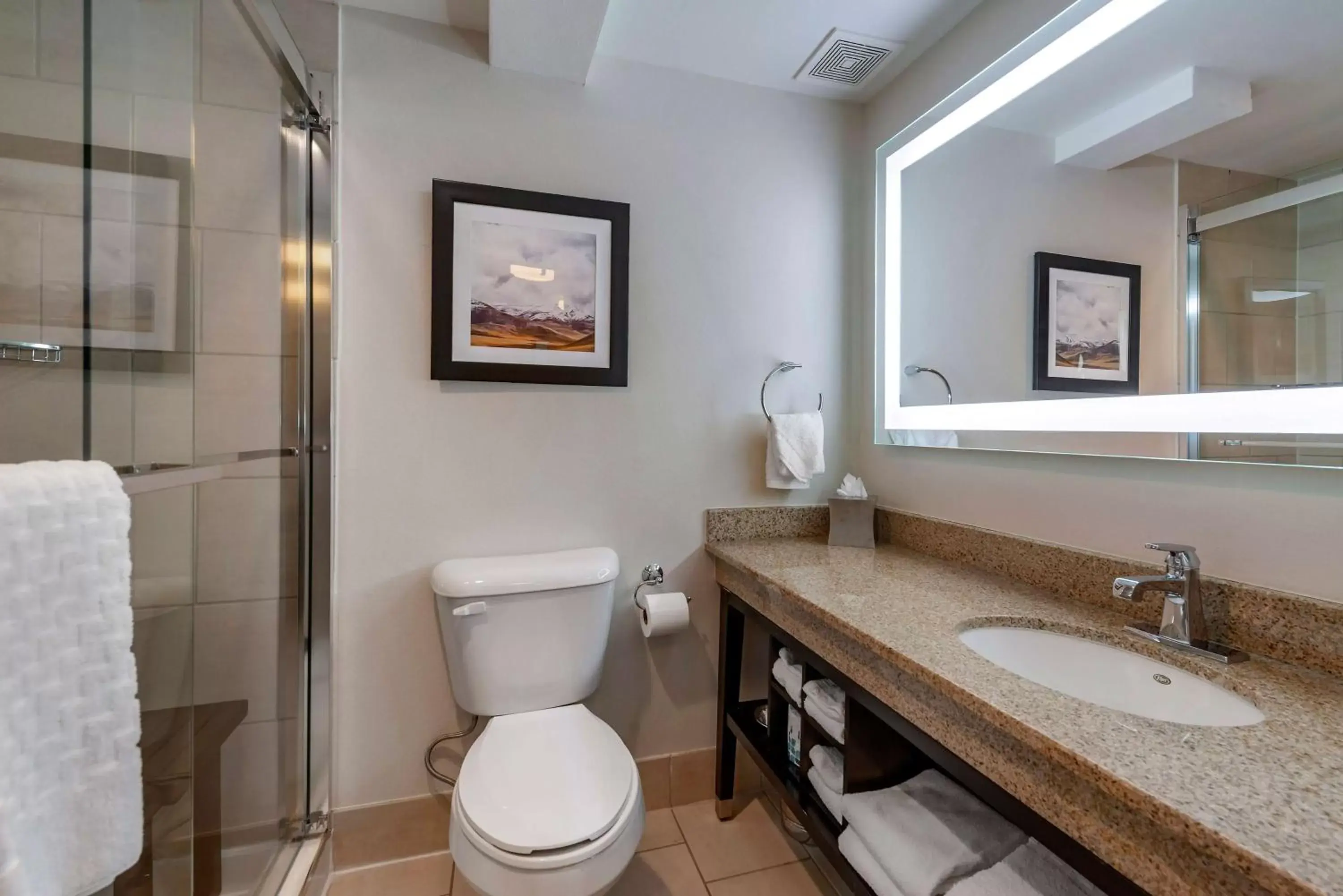 Bathroom in Best Western Premier Denver East
