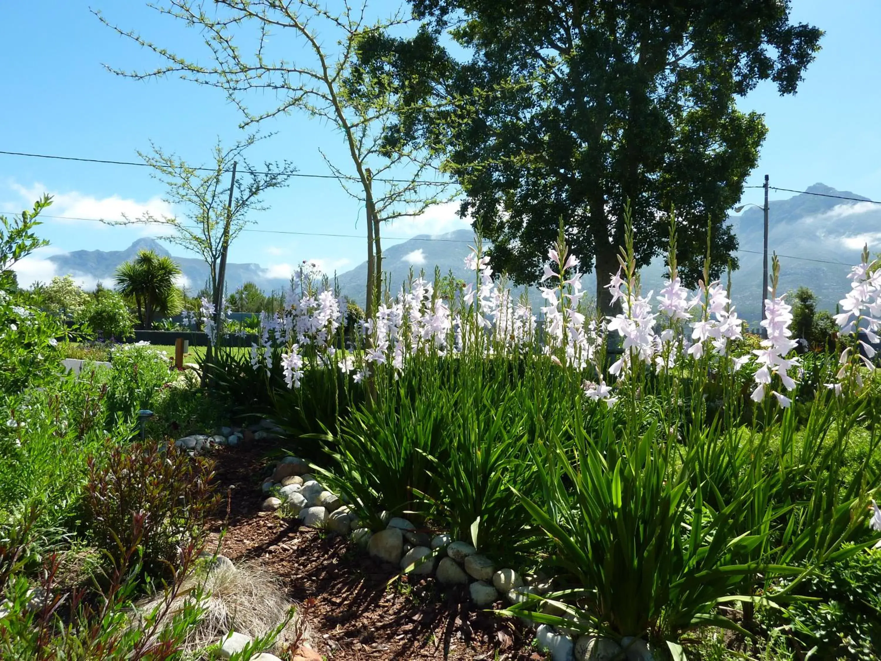 Garden in A Hilltop Country Retreat