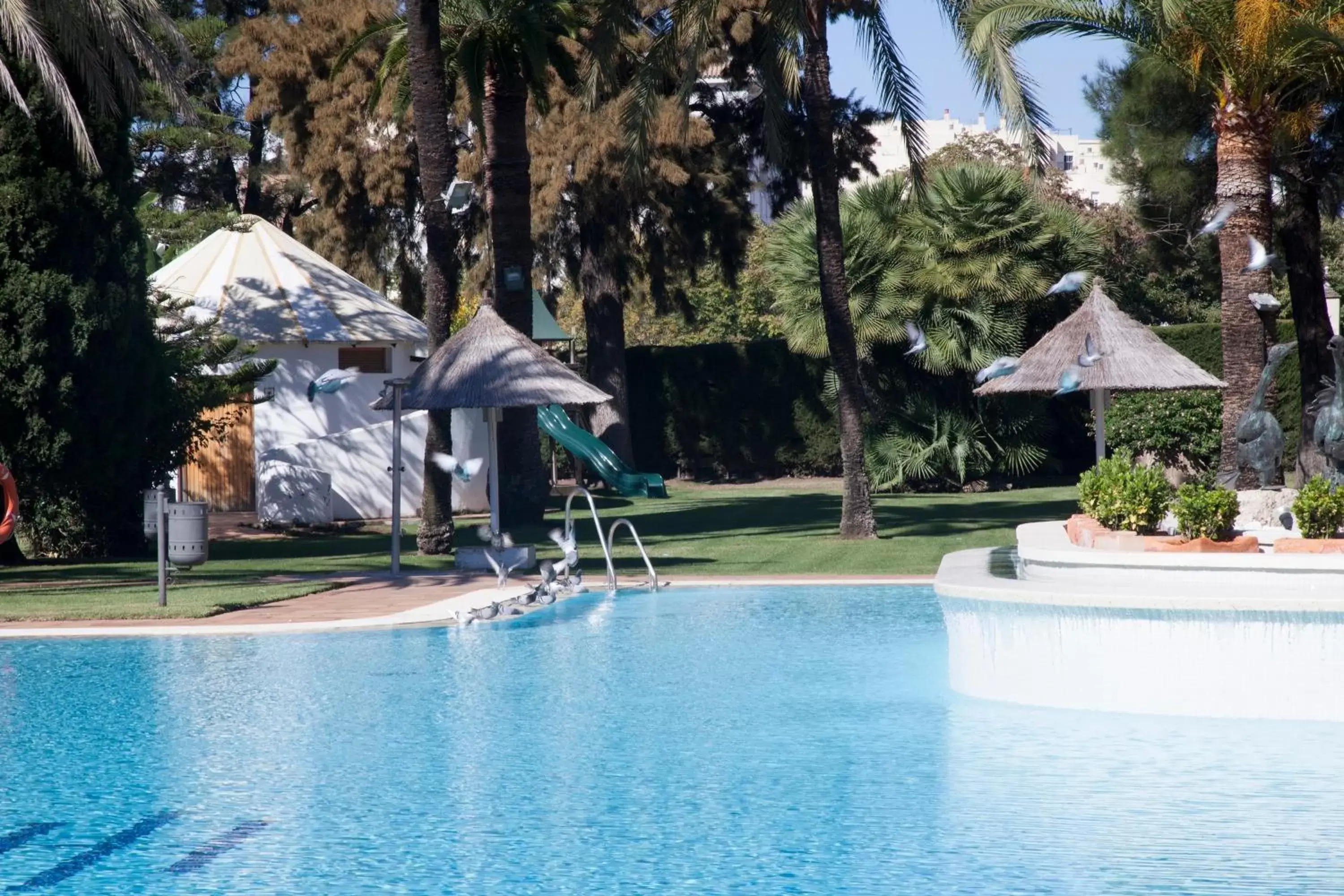 Garden, Swimming Pool in Hotel Jerez & Spa