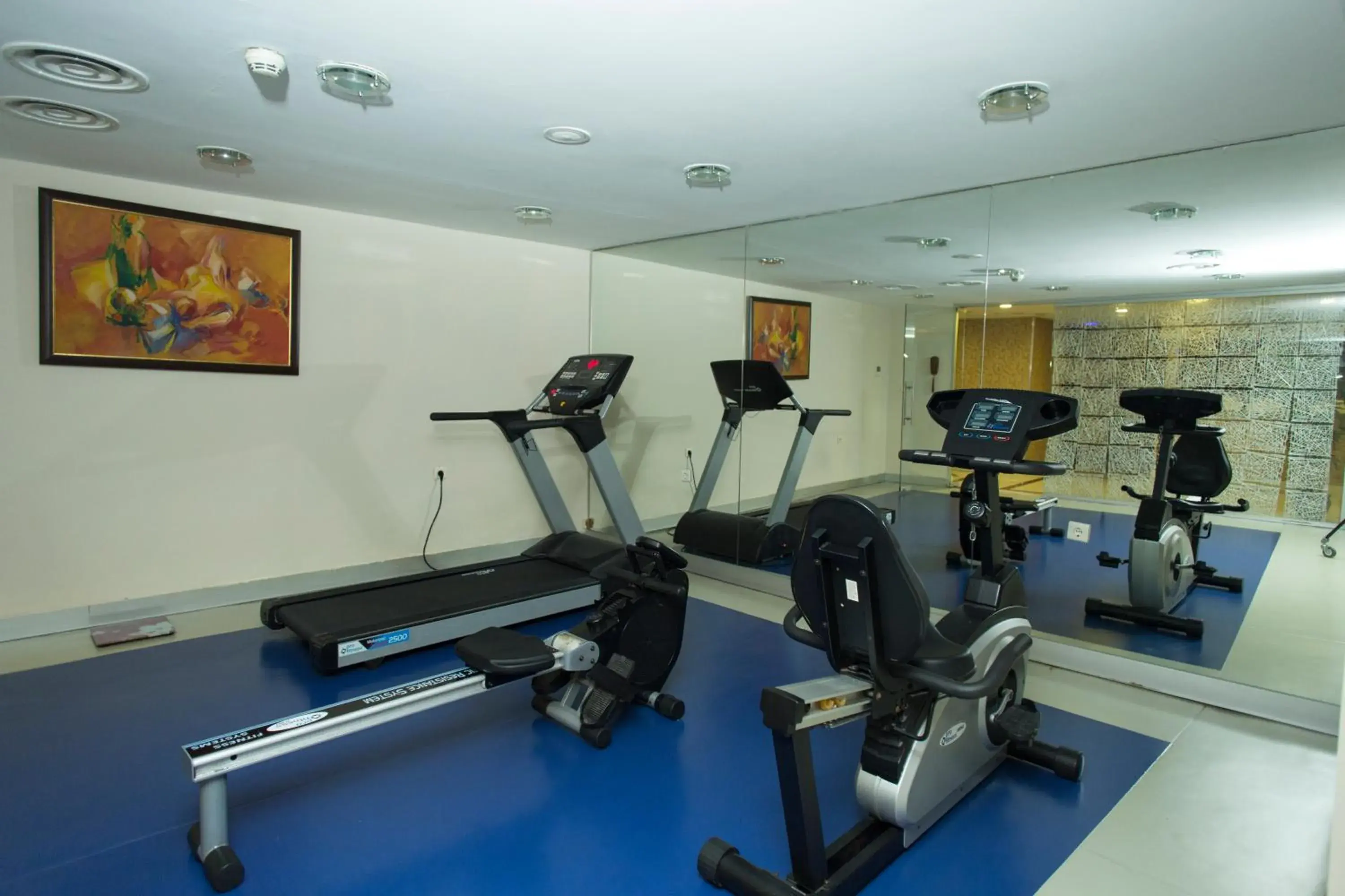 Fitness centre/facilities, Fitness Center/Facilities in Topkapi Inter Istanbul Hotel