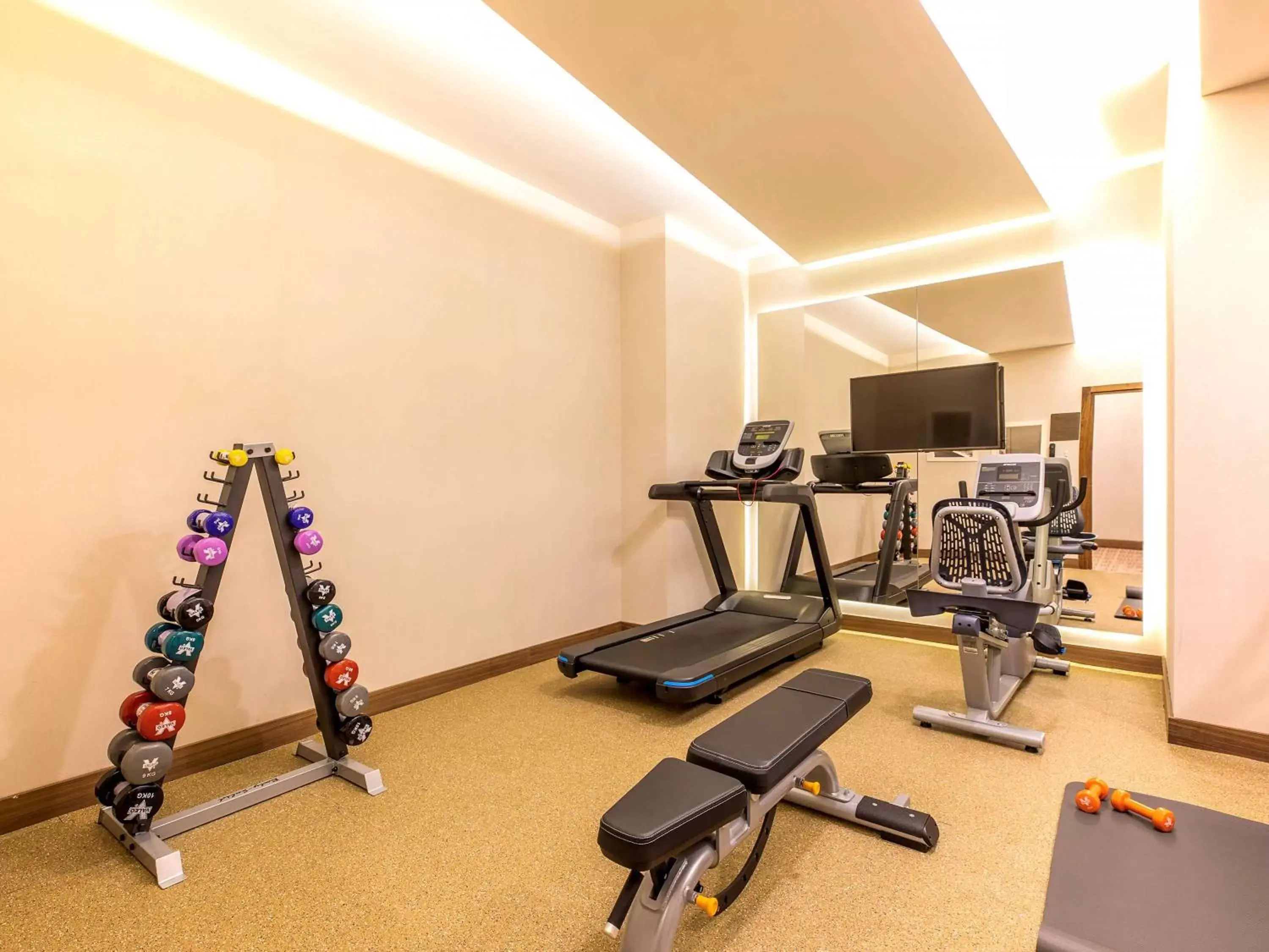 On site, Fitness Center/Facilities in Mercure Istanbul Sirkeci