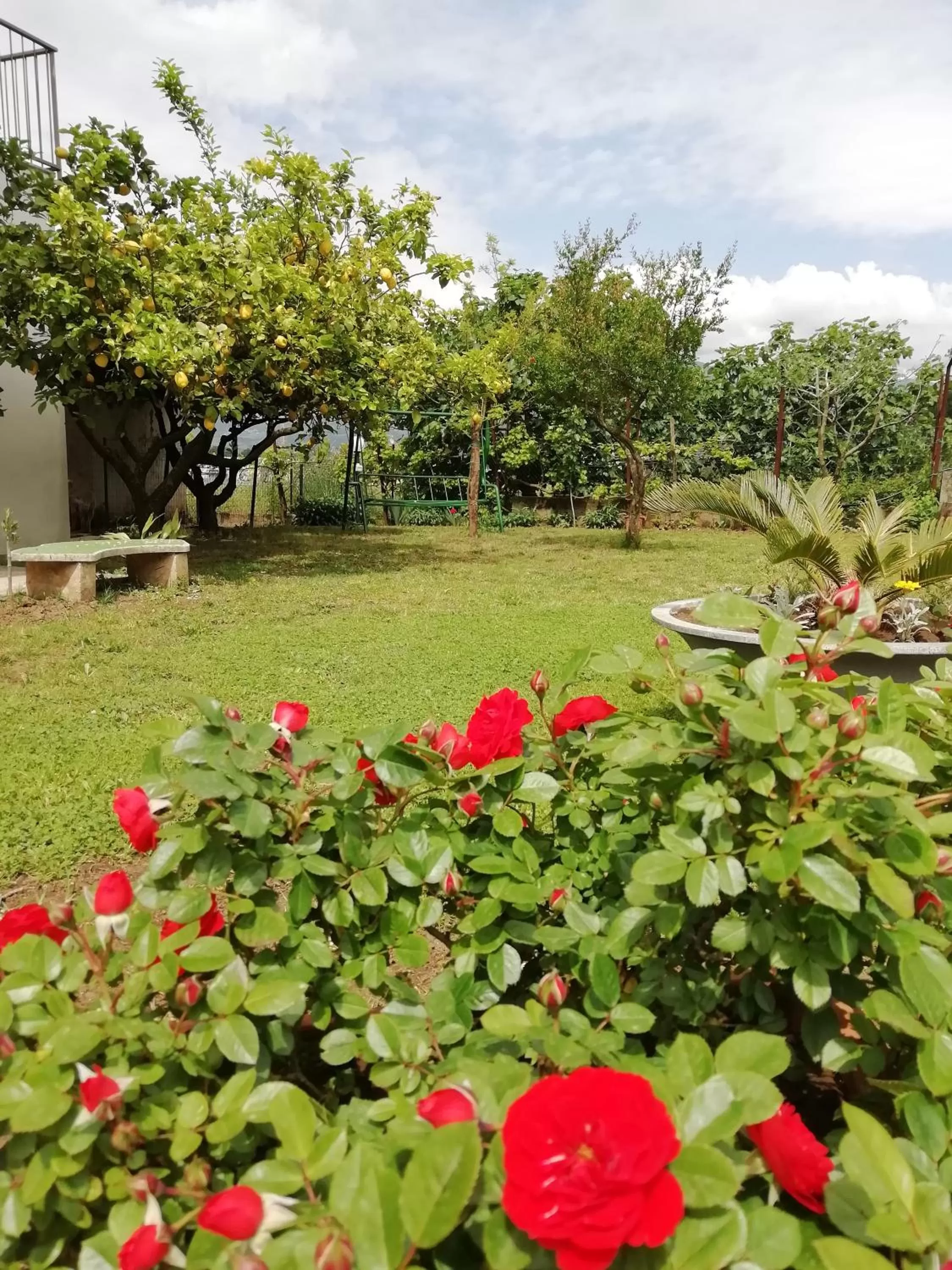 Garden in B&B Villa Le Mattine