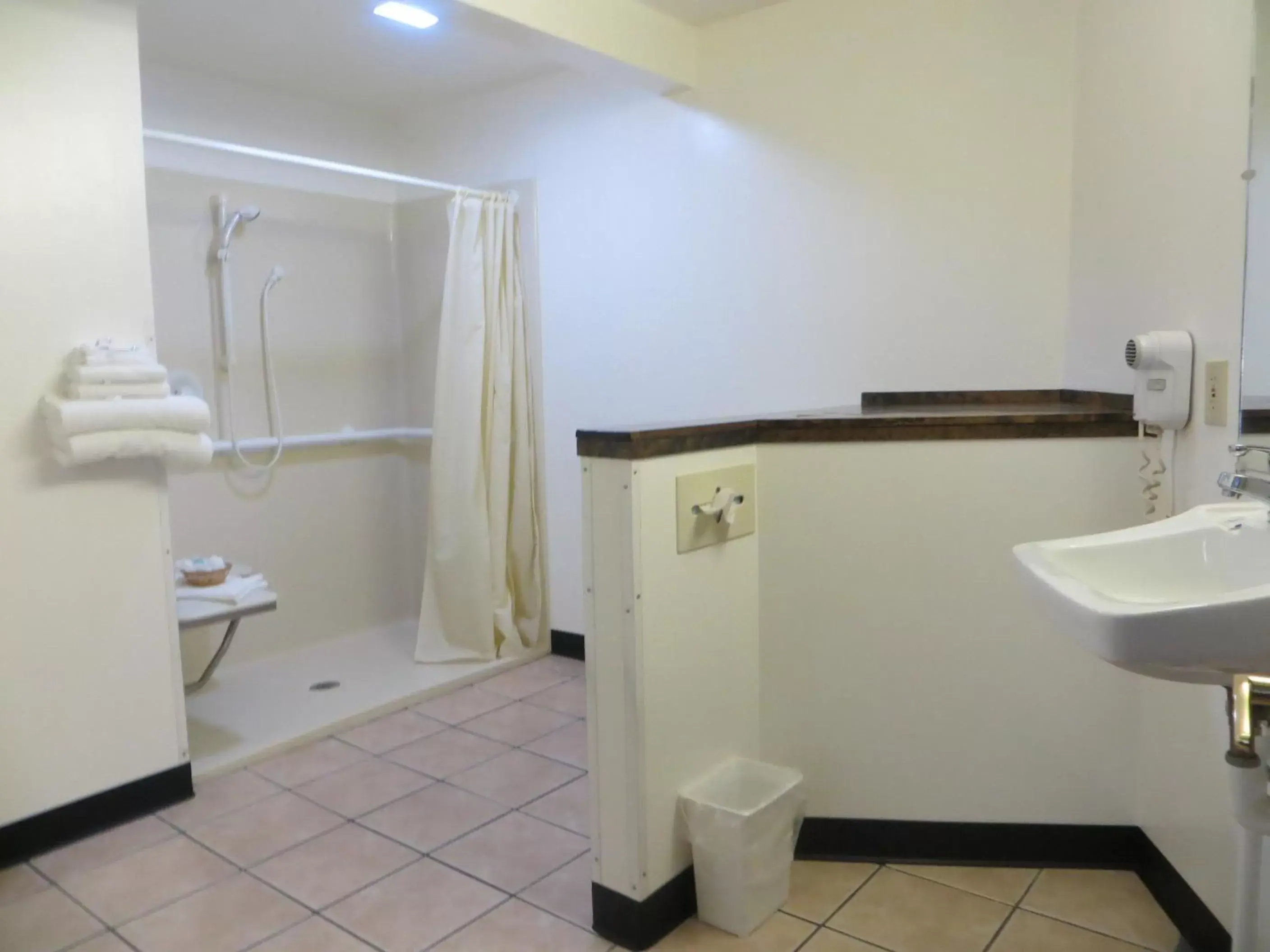 Shower, Bathroom in Cadillac Inn