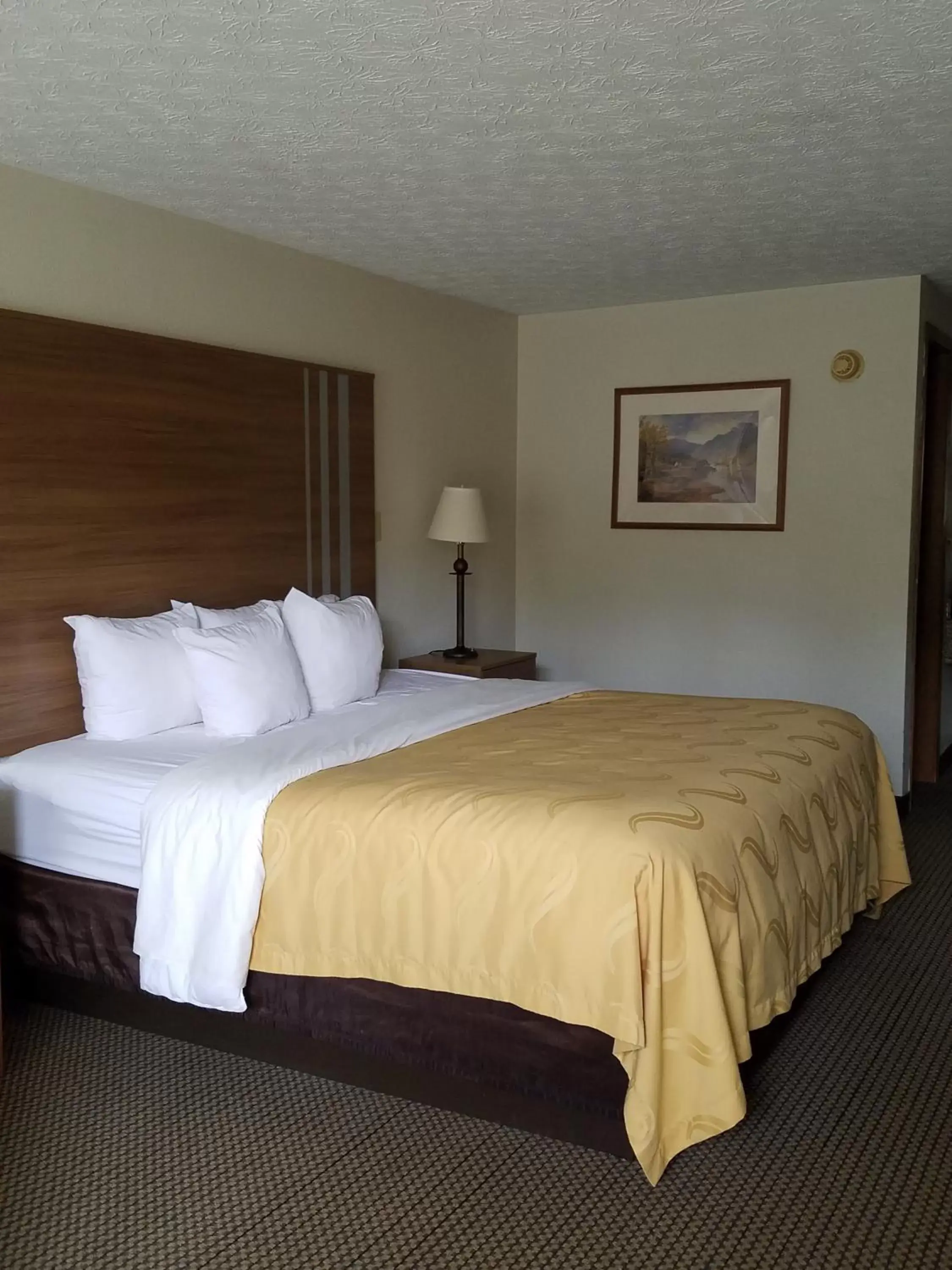 Bedroom, Bed in Quality Inn New River Gorge