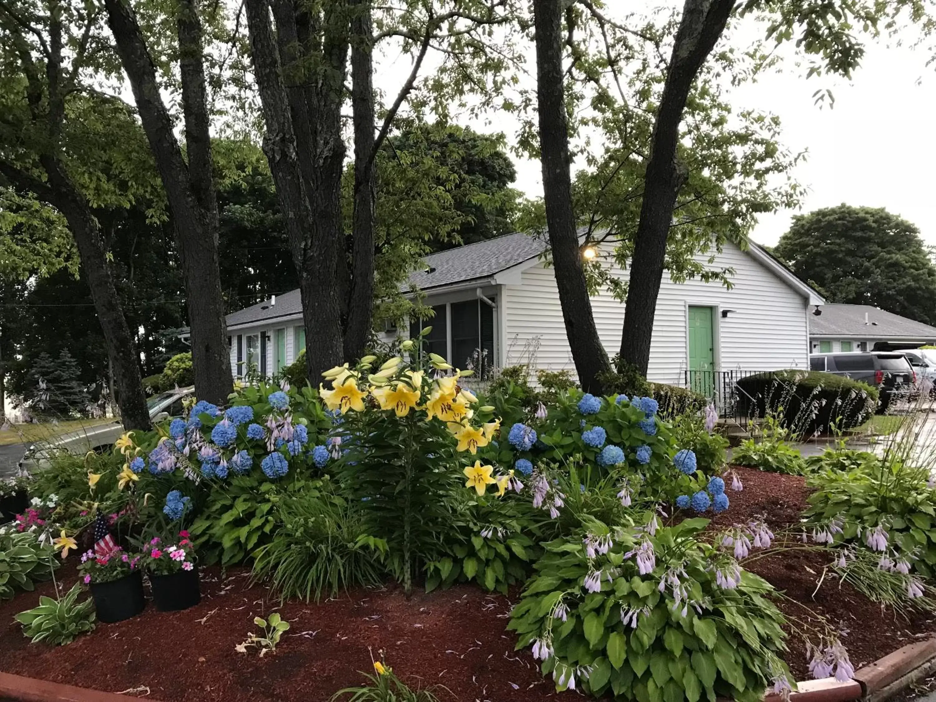 Garden, Property Building in Founder's Brook Motel and Suites