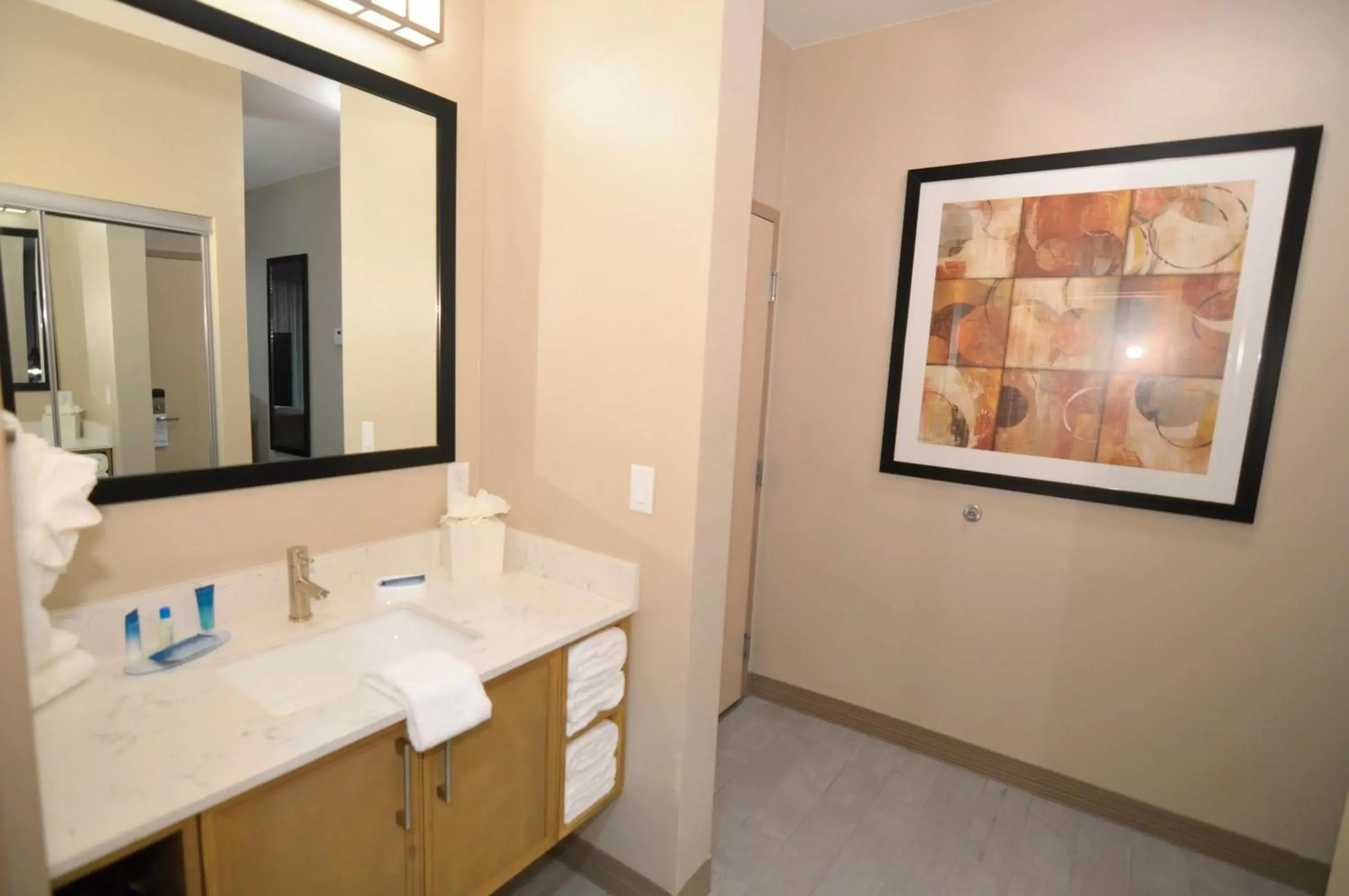 Bathroom in Best Western Executive Residency IH-37 Corpus Christi