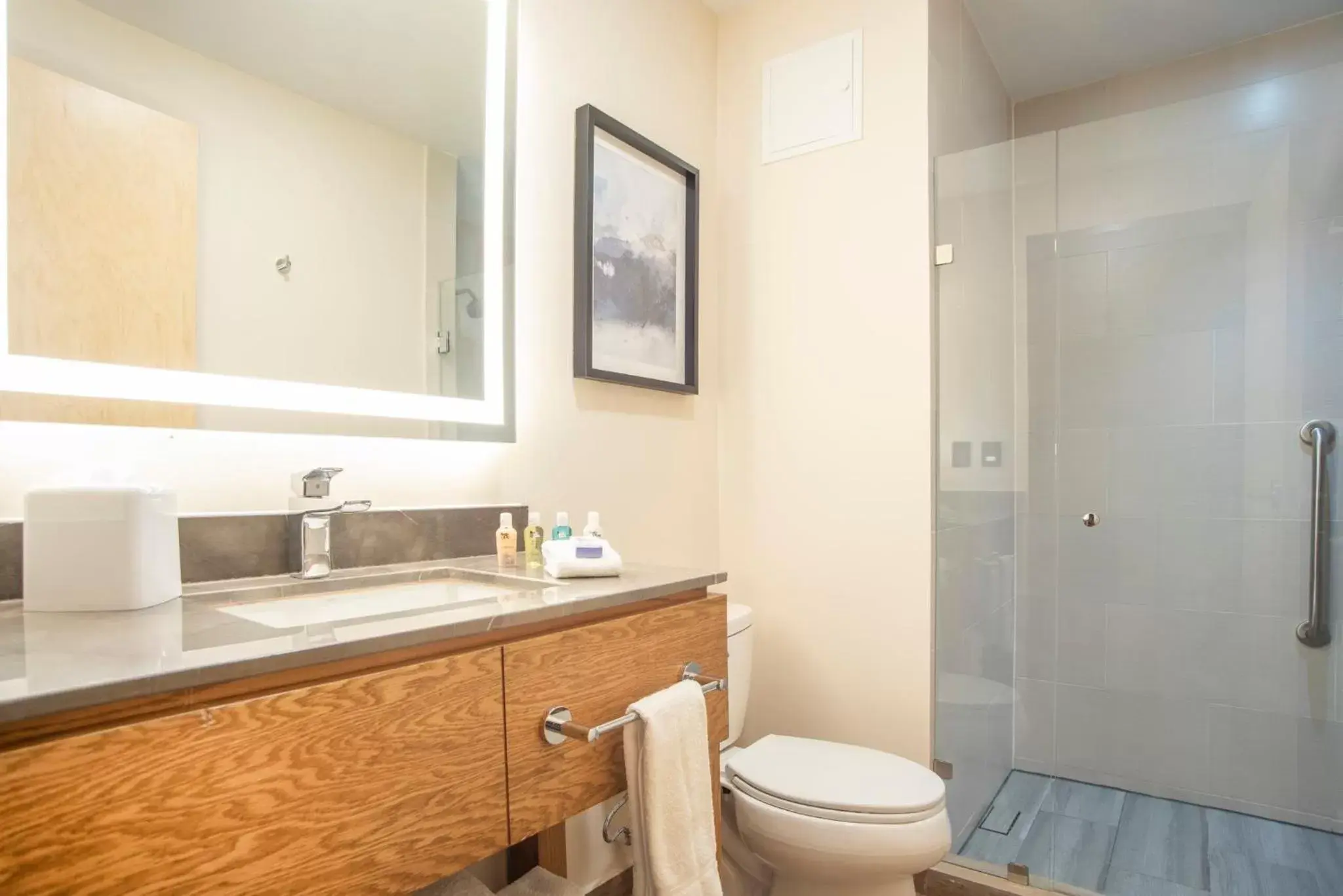 Bathroom in Candlewood Suites - Guadalajara Galerias, an IHG Hotel