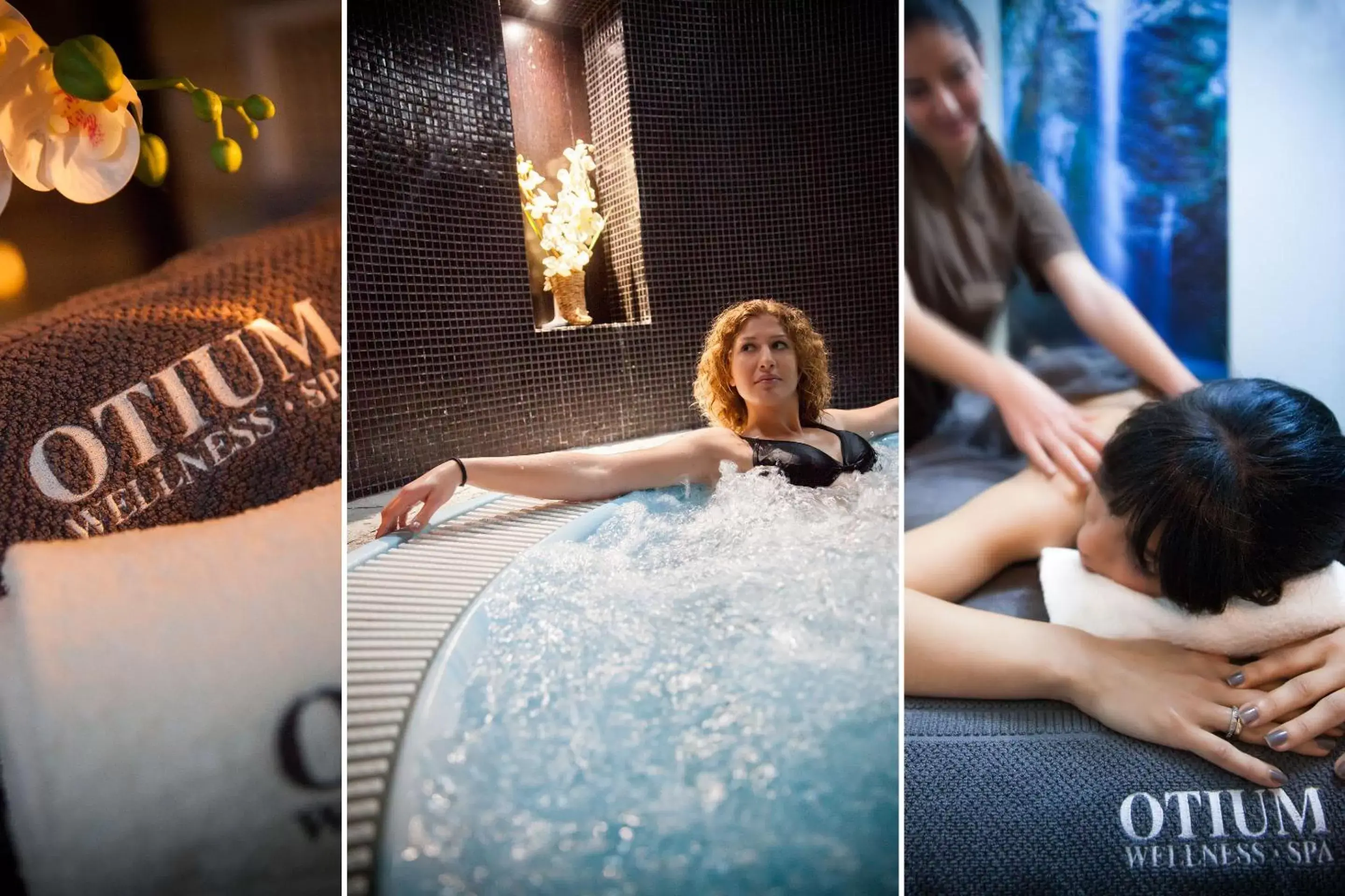 Spa and wellness centre/facilities, Swimming Pool in Ostia Antica Park Hotel & Spa