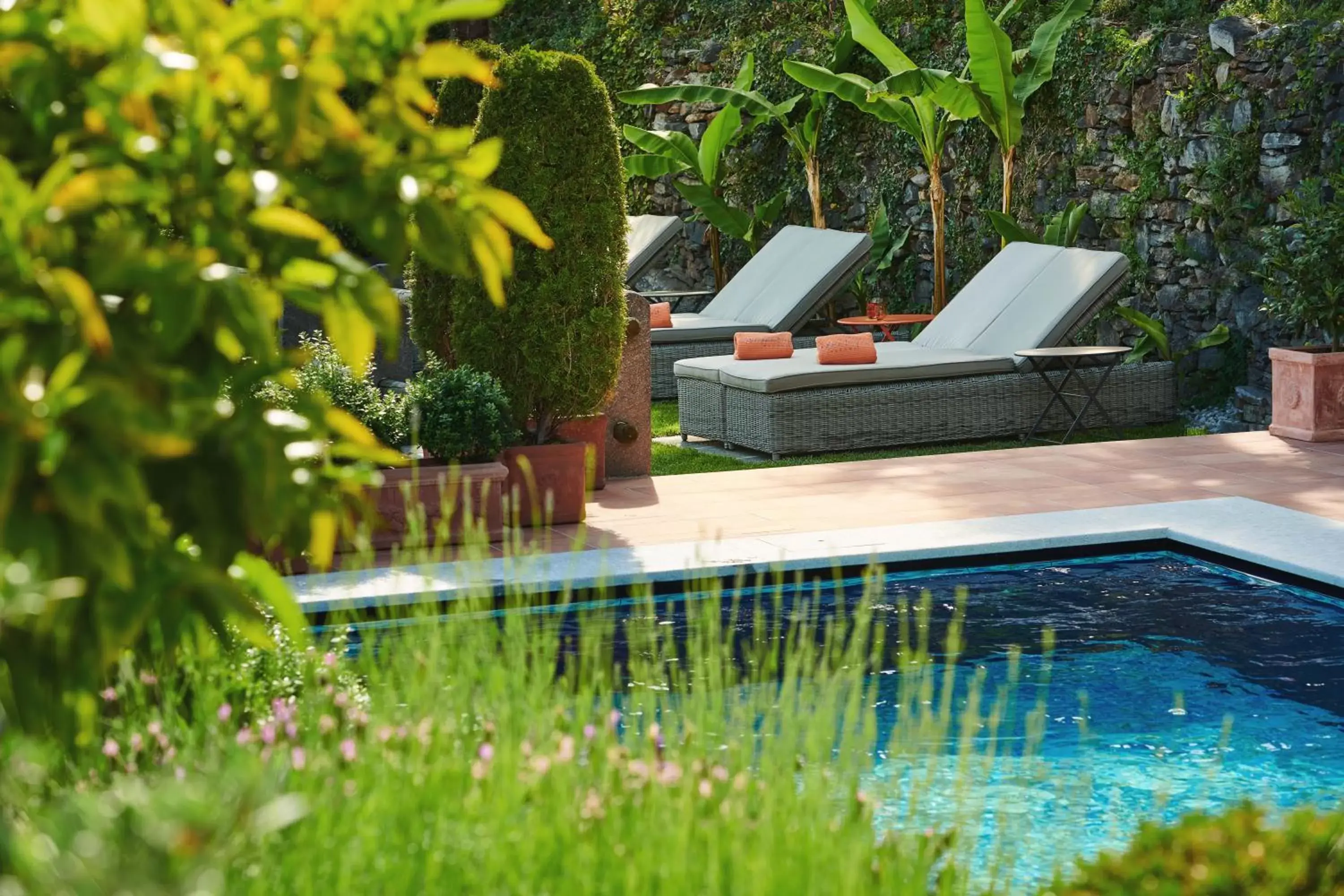 Garden, Swimming Pool in Art Hotel Riposo