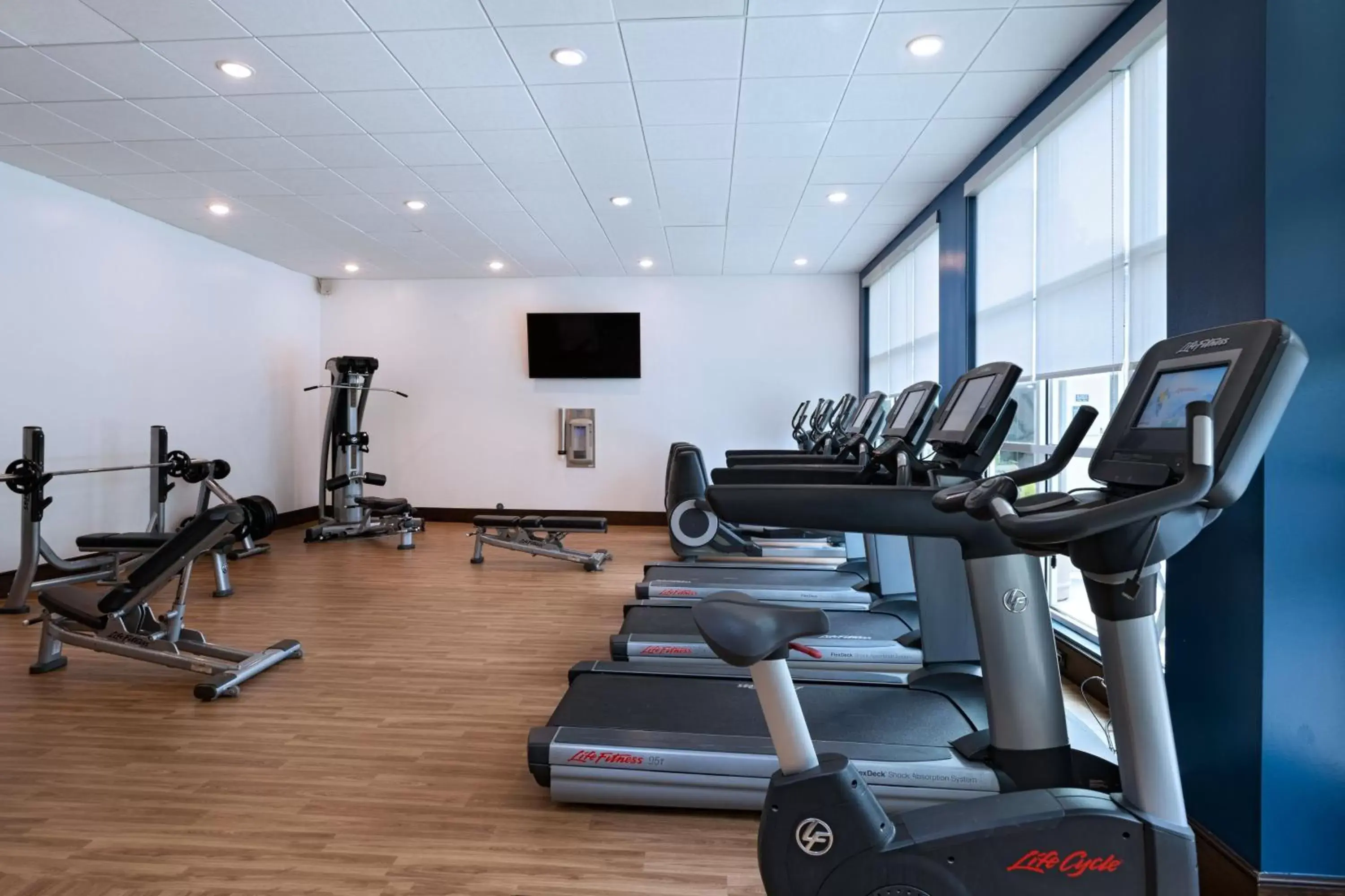 Fitness centre/facilities in Four Points by Sheraton Houston West Fitness centre/facilities in Four Points by Sheraton Houston West