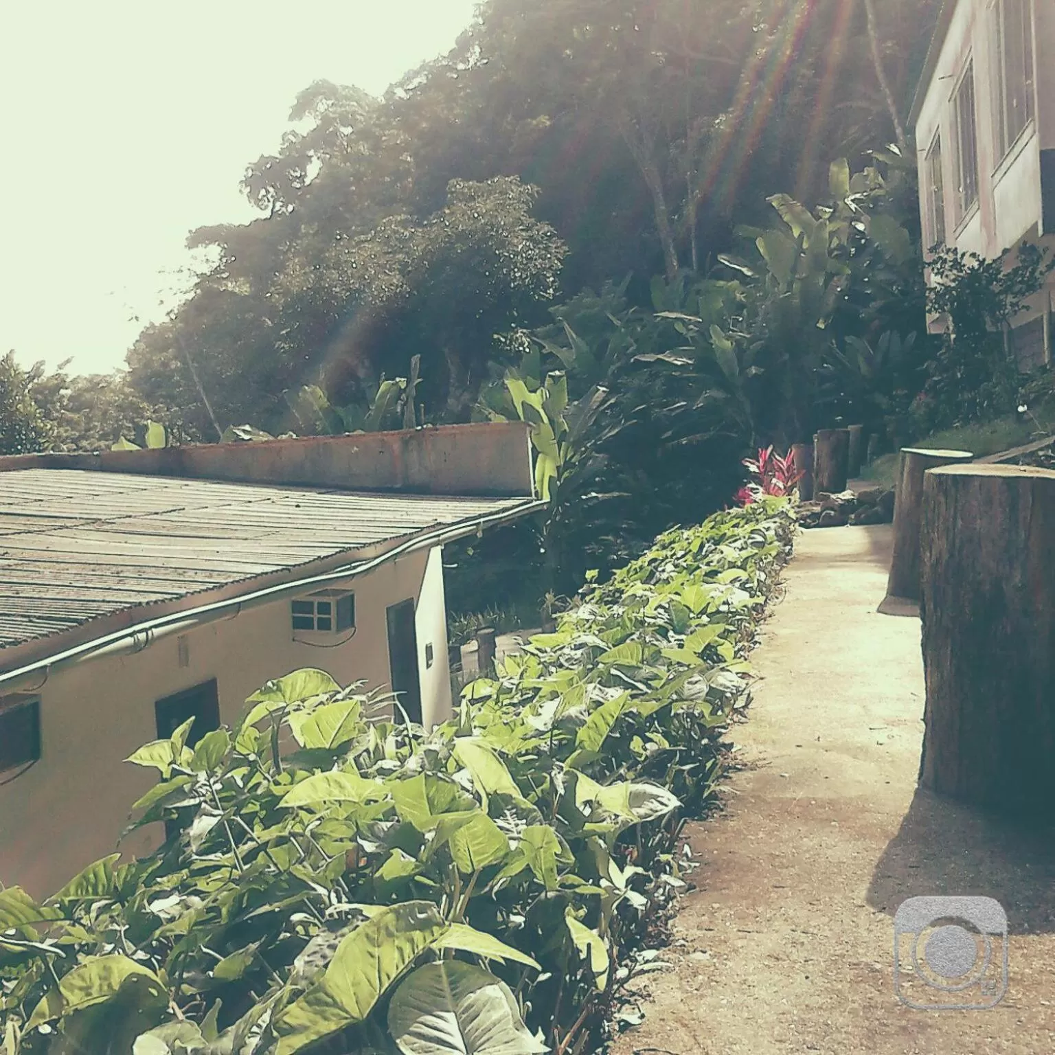Natural landscape in Pousada Piquara